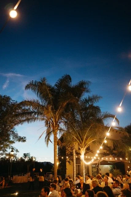 WW100545 Medium.jpeg