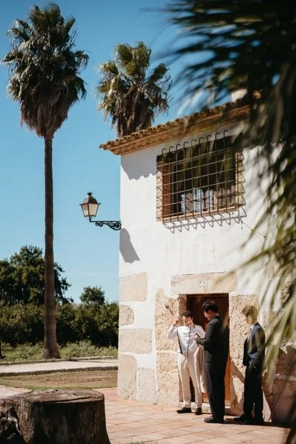 WW201722 Medium.jpeg