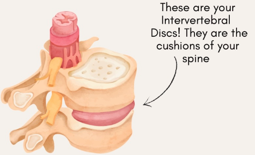 What a Disc Bulge Actually Means - And What to Do About It!