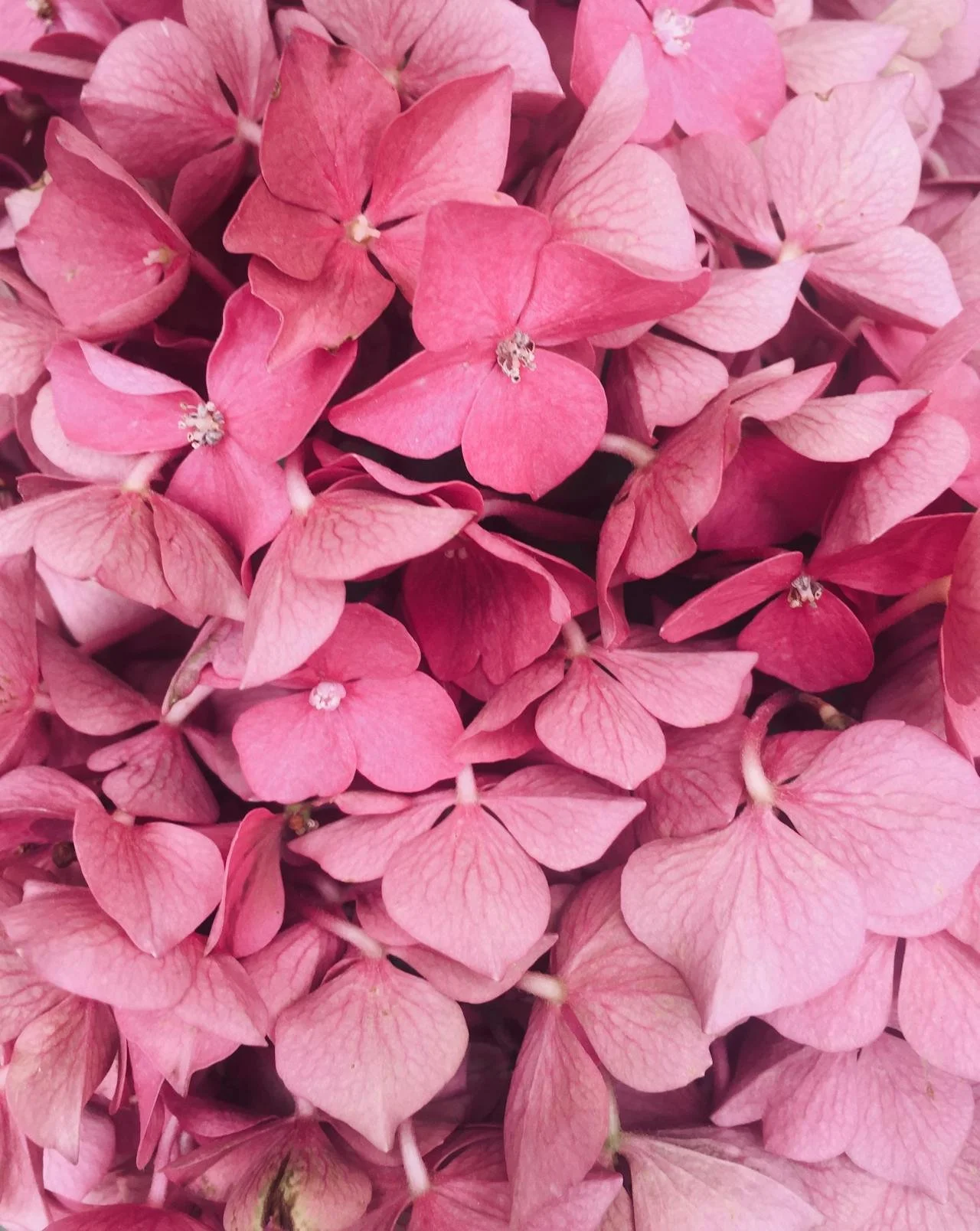 Flower delivery HK hotel
