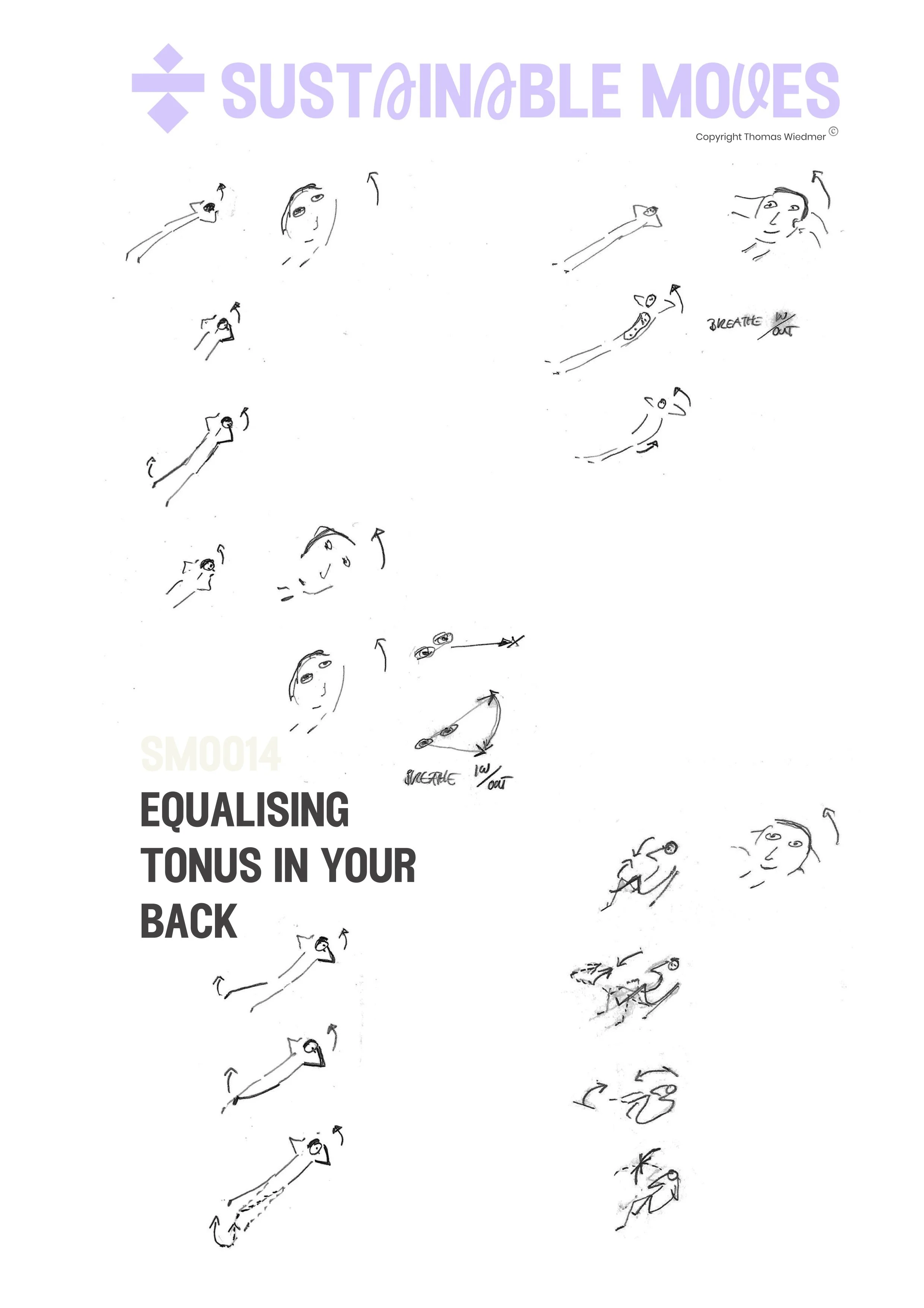 equalysing the tonus of your back