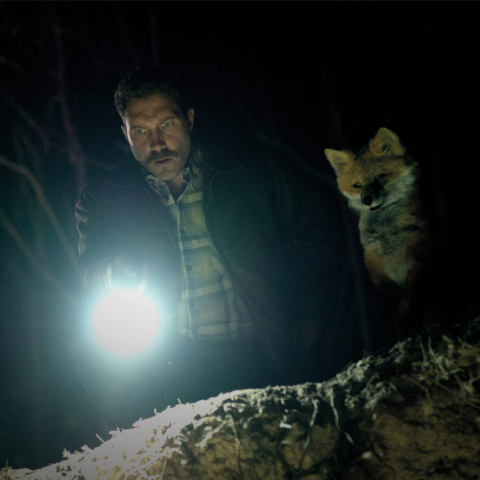 THE FOX | Coming Soon
