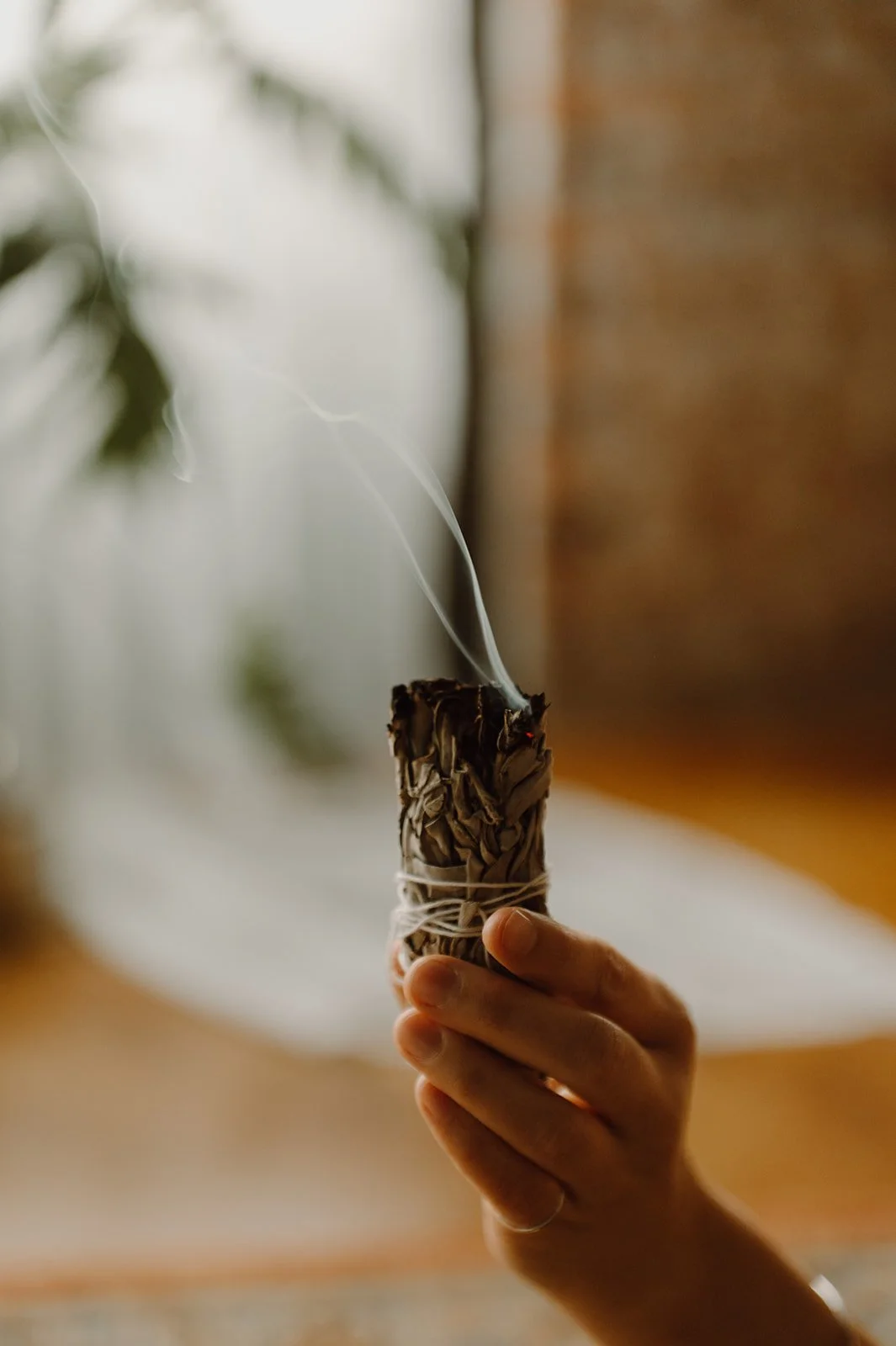 Tora Savage online somatic coach holding sage