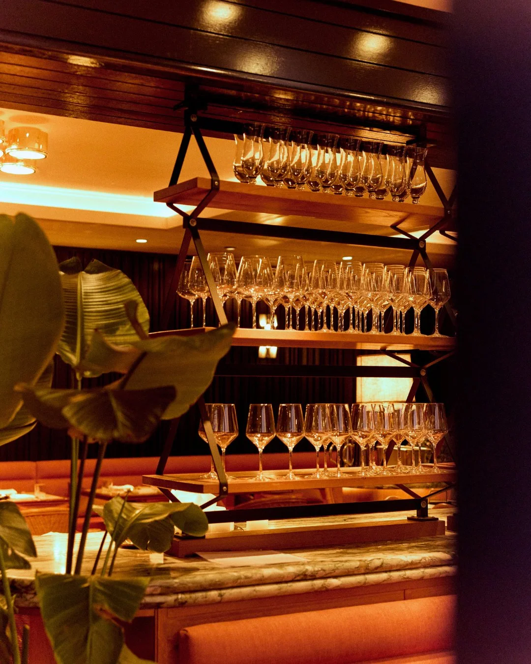 Patiently awaiting their perfect pairing.⁠