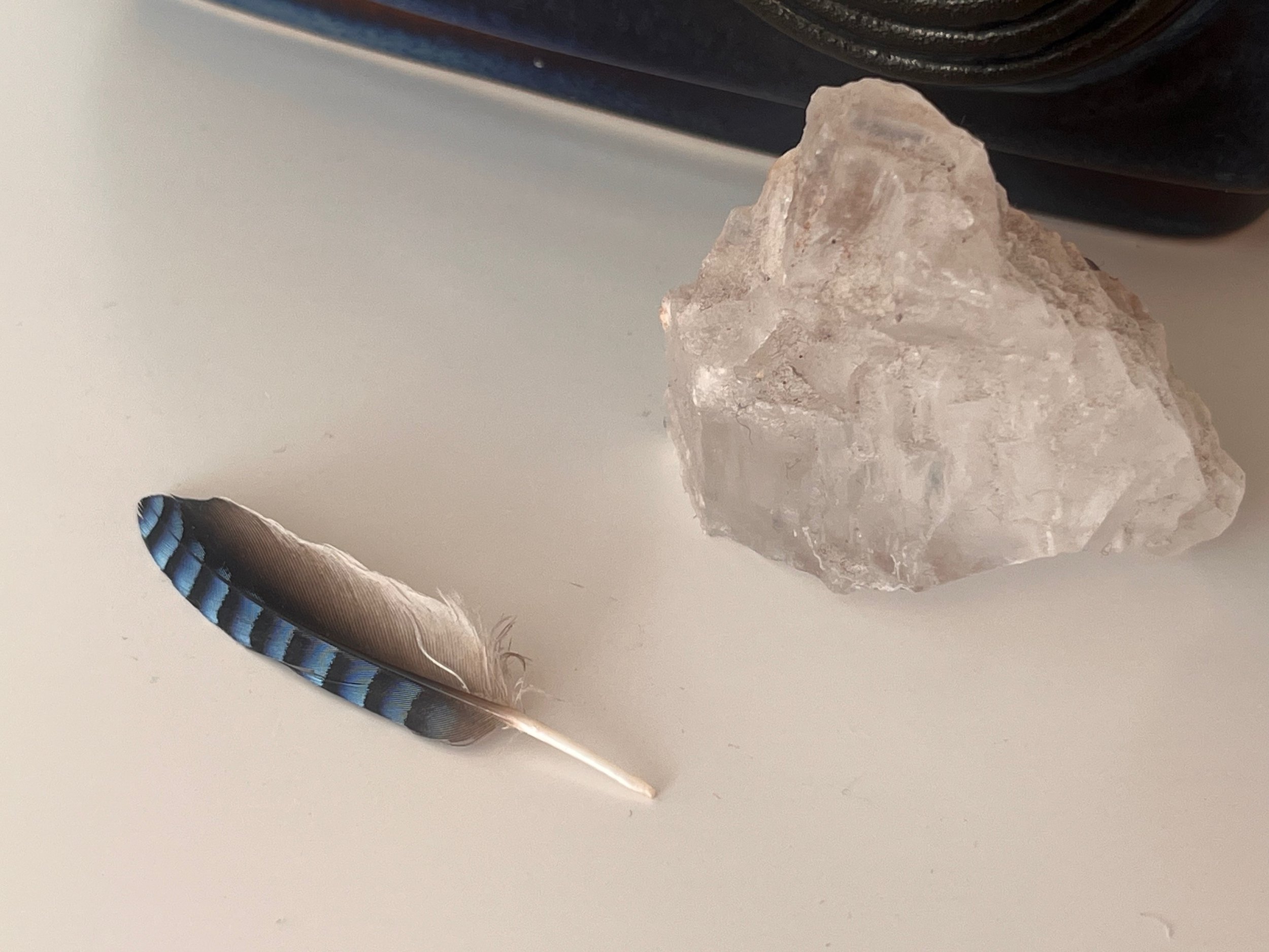 Ein blauer und brauner Feder liegt neben einem großen, unregelmäßig geformten Klumpen aus Salz auf einer weißen Oberfläche.