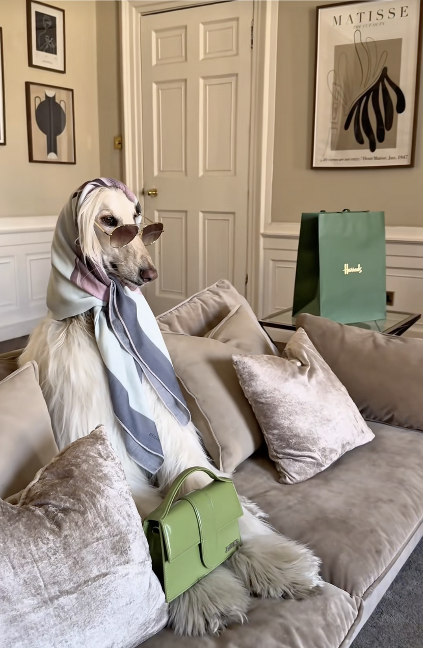 Screenshot 2026-02-12 at 13.37.57.png