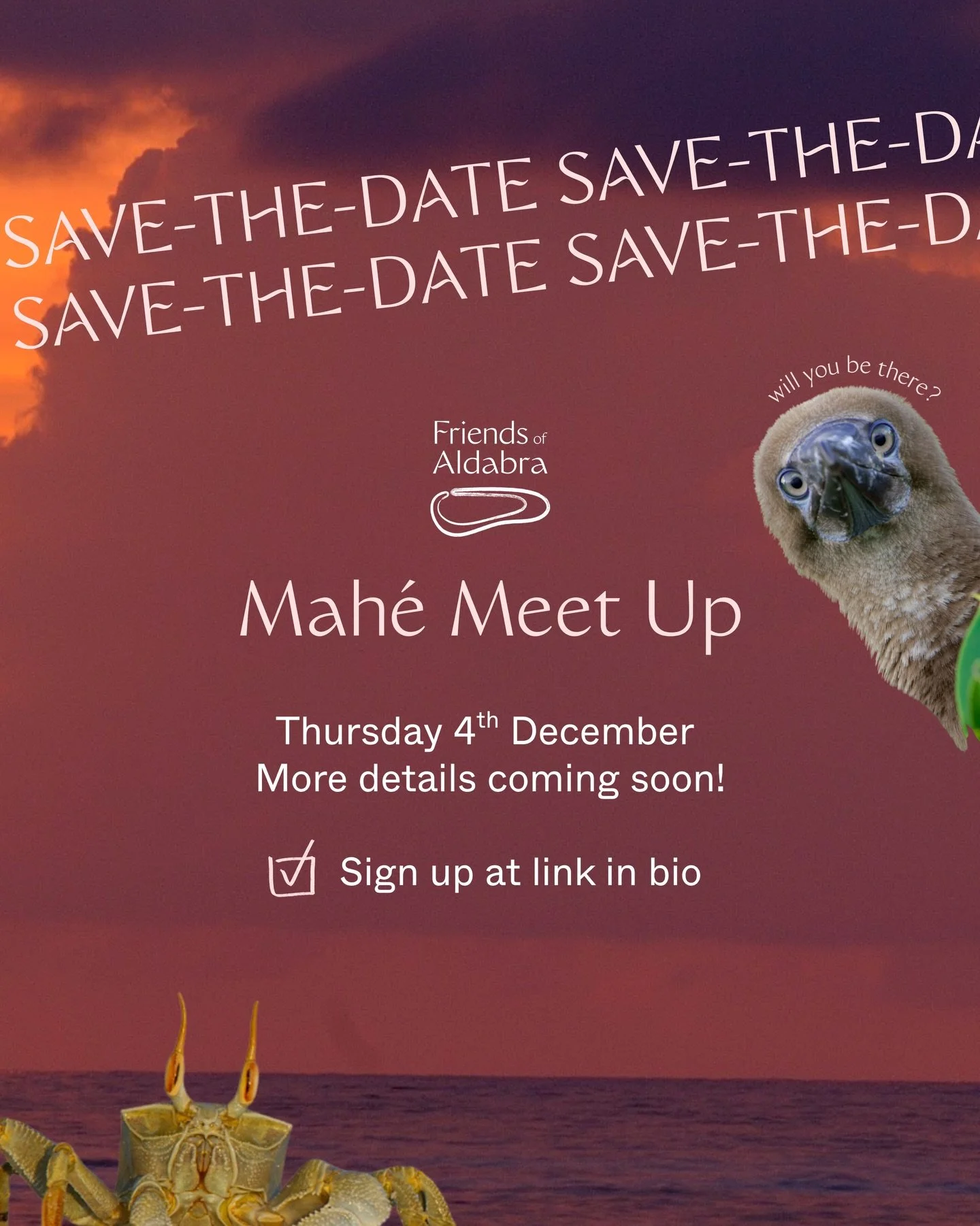 We&rsquo;re planning an in-person Friends of Aldabra meet-up on Thursday 4th December (just two weeks from now!) on Mah&eacute;. We&rsquo;d love for you to join us.

A moment to:
🌟 Connect face-to-face (turning these digital connections into real-li
