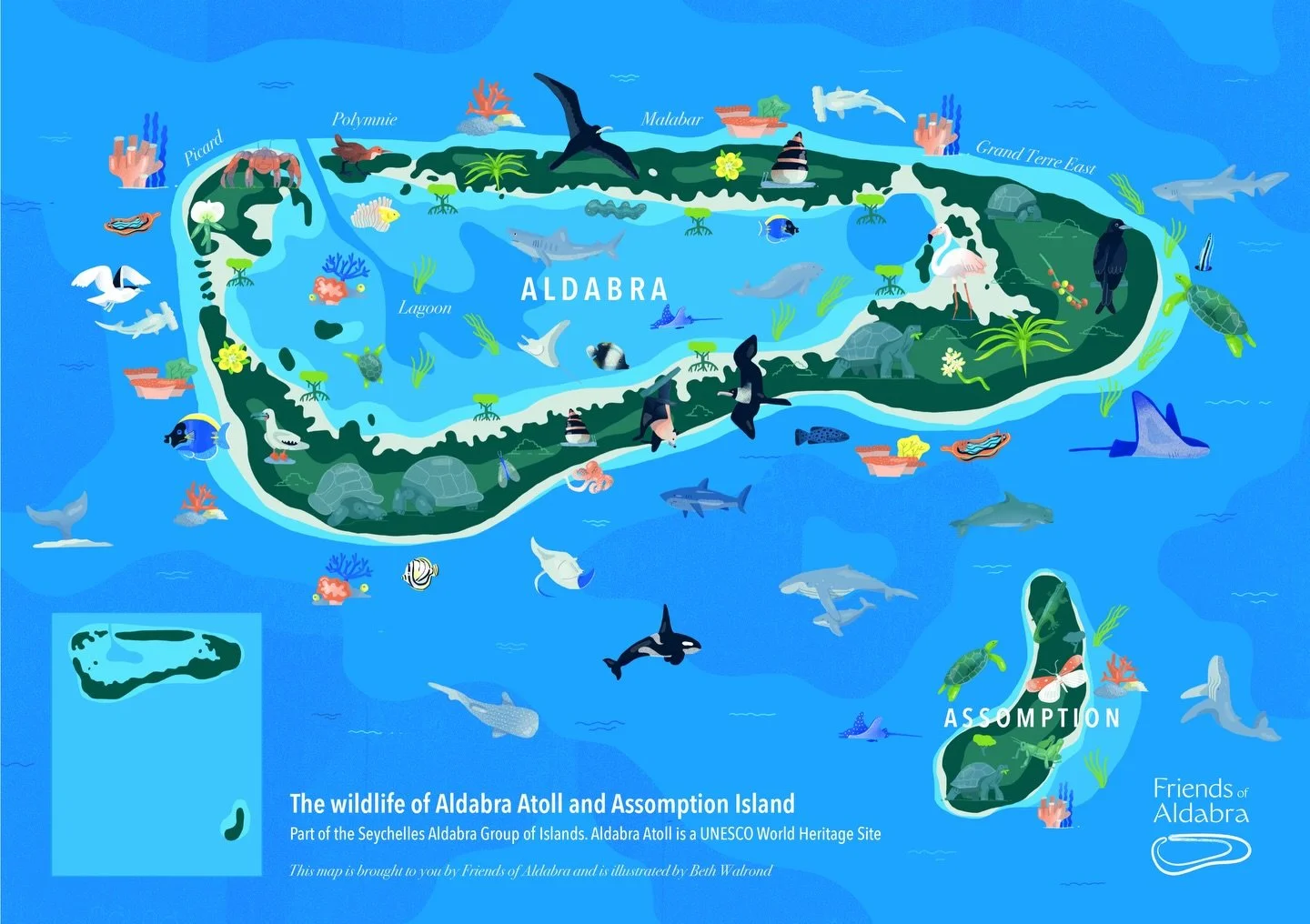 🌍 MAP REVEAL 🌍

Over the past few months, we&rsquo;ve been working with the talented @bethwalrond to create this colourful illustrated map of Aldabra Atoll and Assomption Island. We wanted to celebrate the extraordinary biodiversity of this place -