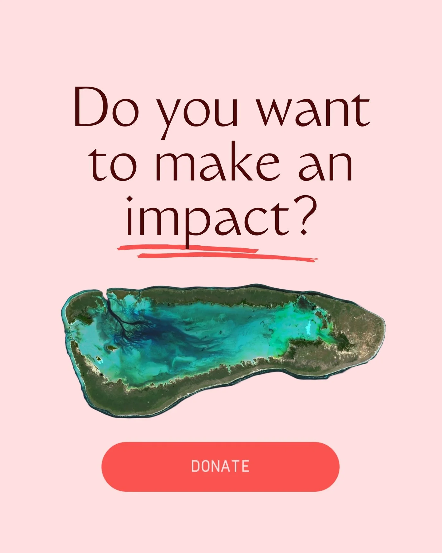 Friends of Aldabra is a not-for-profit campaign supported by donations.

We are deeply grateful to @reservaylt and @oriannesociety, our sponsors, for their trust and financial support, and providing the necessary guidance and oversight to ensure we c