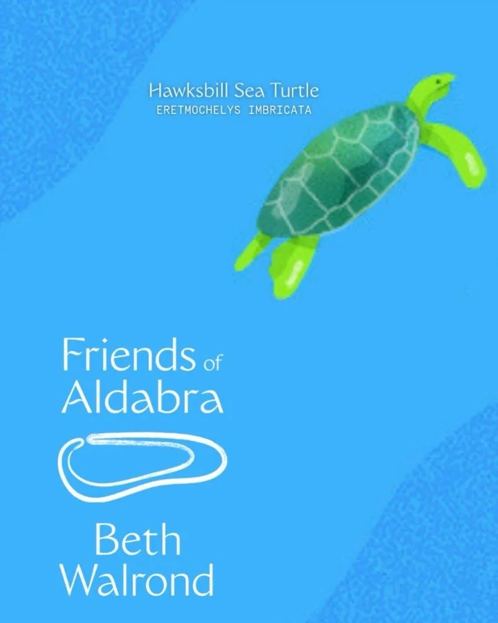 Art has the power to translate urgent conservation messages into digestible visual stories (that are also, quite frankly, adorable!). 🩵

Thank you @bethwalrond for illustrating the animals of Aldabra and Assomption - making biodiversity visible. And