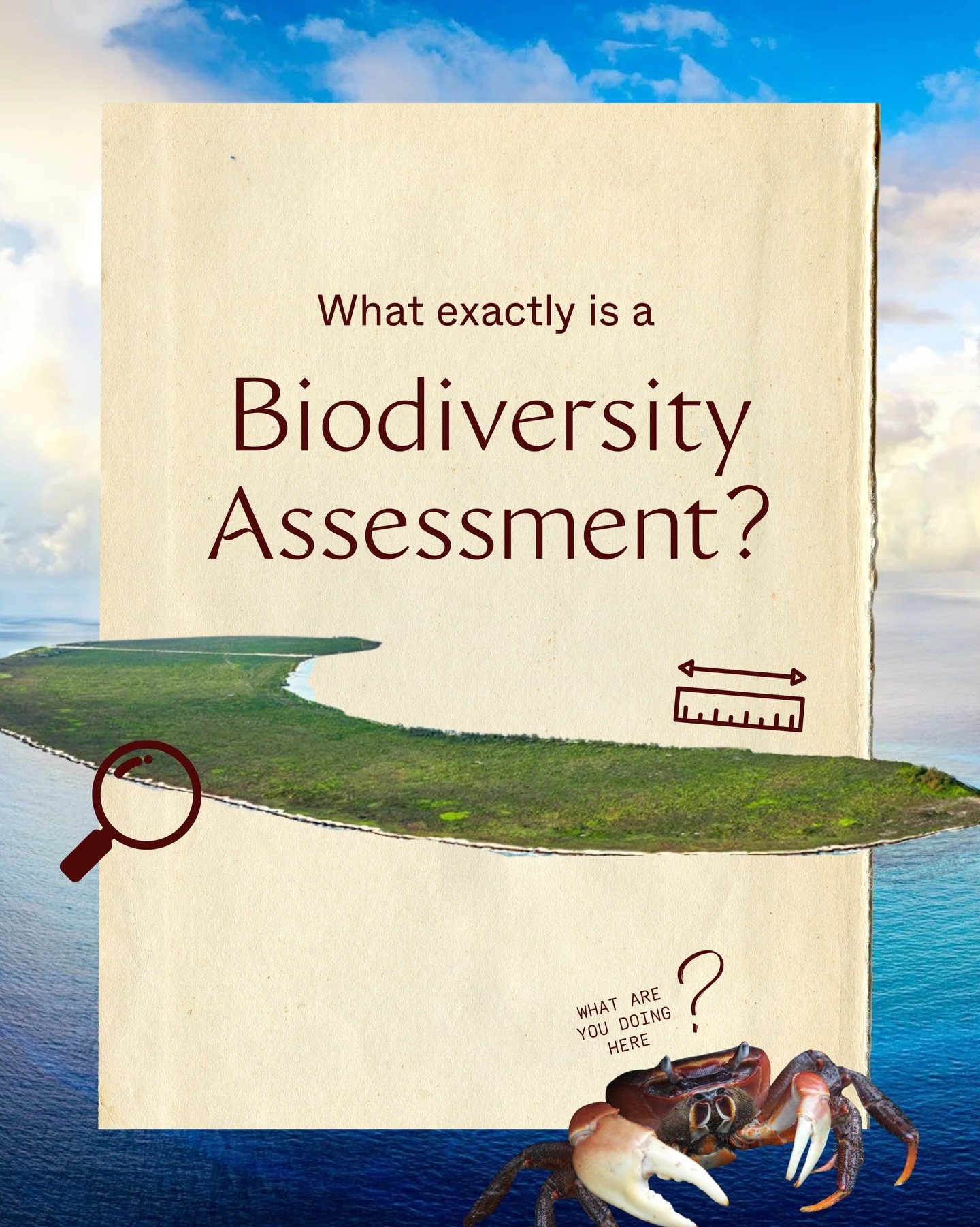 A biodiversity assessment is a health check-up for nature 🌿

It helps us understand what&rsquo;s living in a place before anything changes, so that decisions are guided by science, not guesswork.

For Assomption, this matters deeply. The island sits