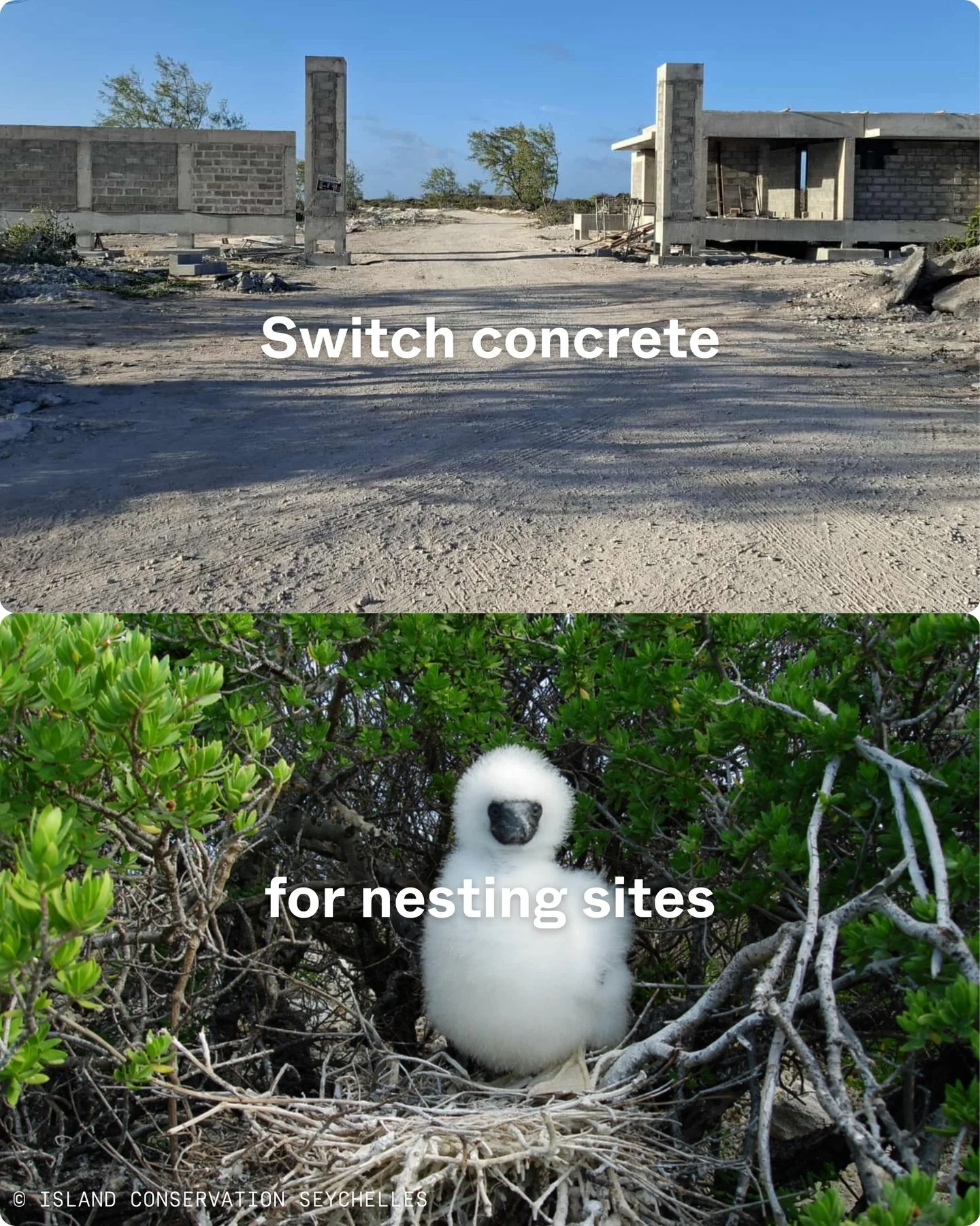 Exclusive private luxury vs Seychellois Scientific exploration.

What if Assomption Island didn&rsquo;t become another luxury resort?

Instead of a private playground for the international ultra-rich elite, it could become a place for science, conser