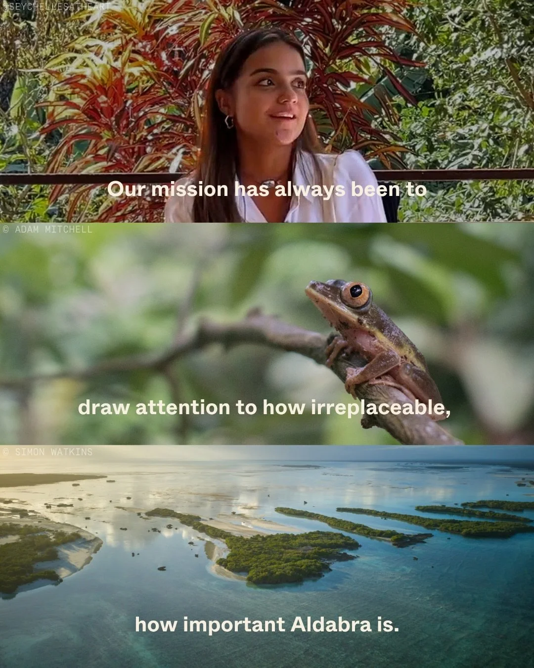 What we protect defines who we are.

In 1981, Seychelles chose to protect Aldabra by recognising it as a special reserve. A year later, in 1982, it was granted UNESCO World Heritage Status.

Aldabra is much more than a backdrop for tourism. It&rsquo;