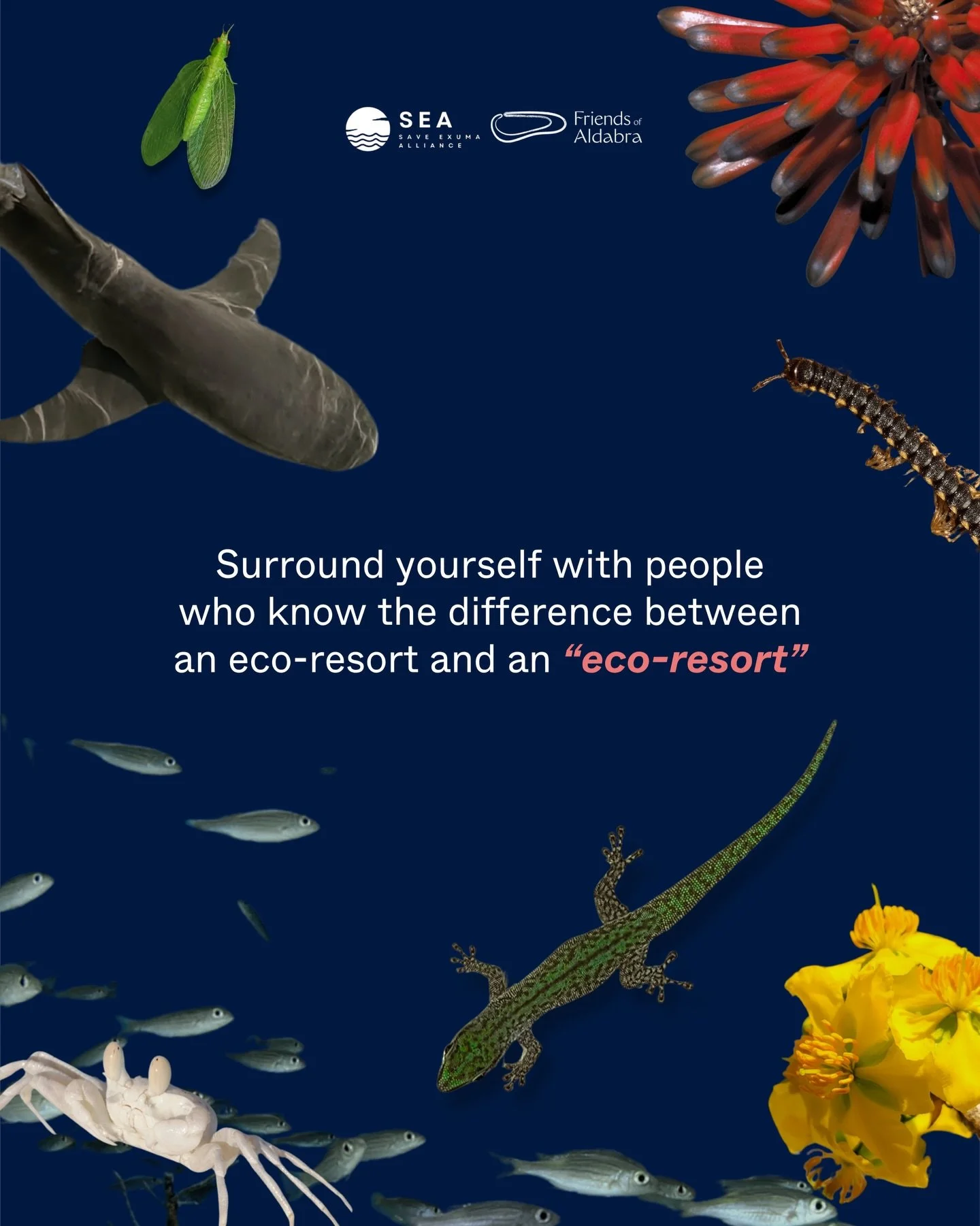 How would you define an &ldquo;eco-resort&rdquo;?

The developments linked to @rosewoodhotels in The Bahamas and Seychelles are being described as &ldquo;sustainable&rdquo;, &ldquo;conscious&rdquo; and &ldquo;responsible.&rdquo; Yet these high-densit