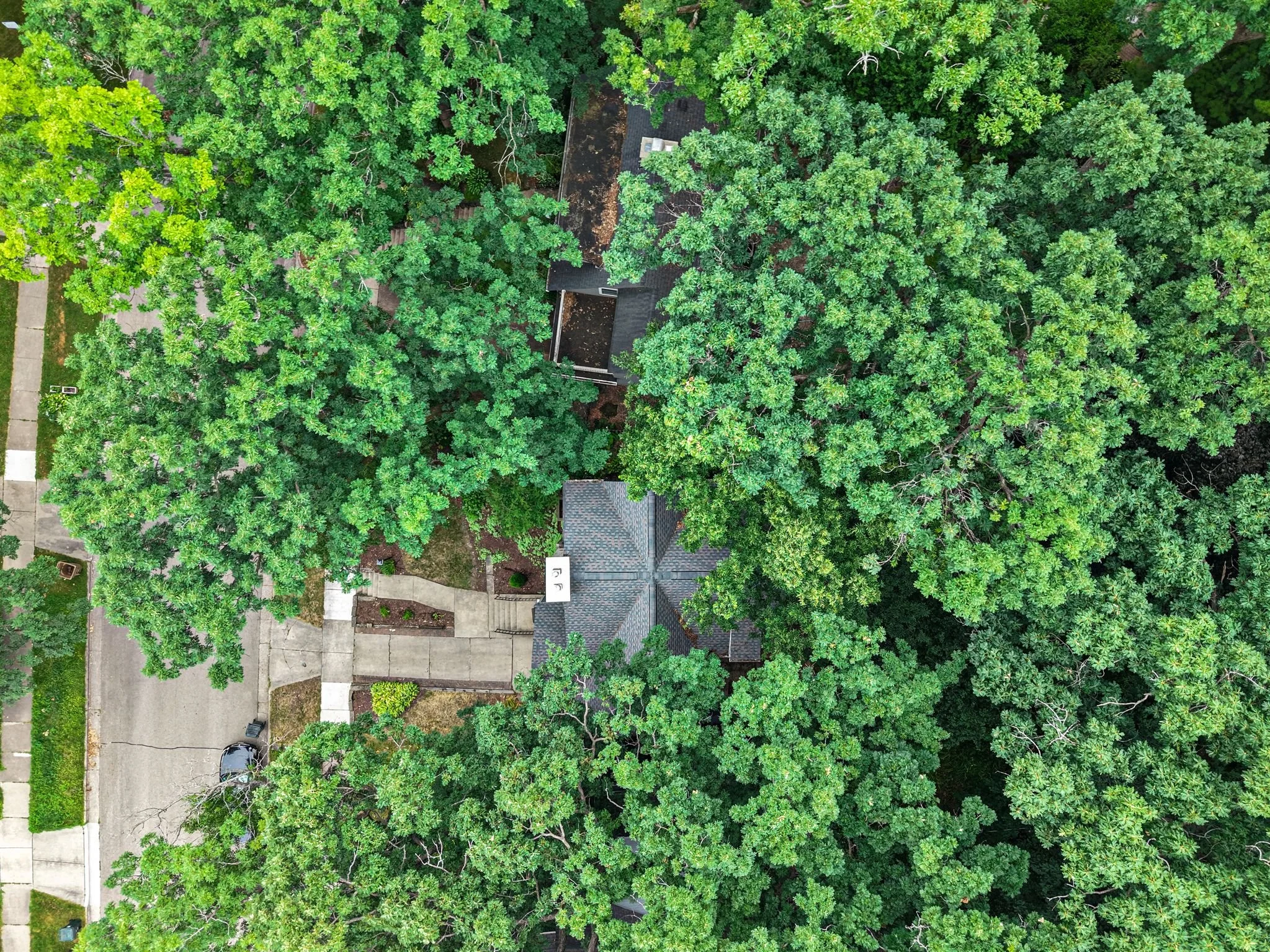 16_DJI_20260720092834_0223_D.jpg
