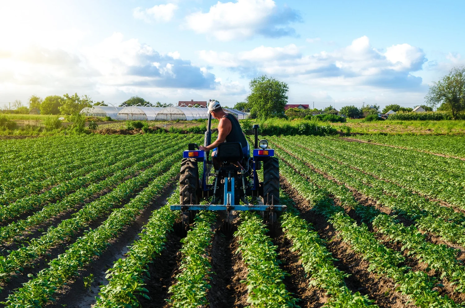 Industrial Agriculture — Wynne Economic Development Corporation