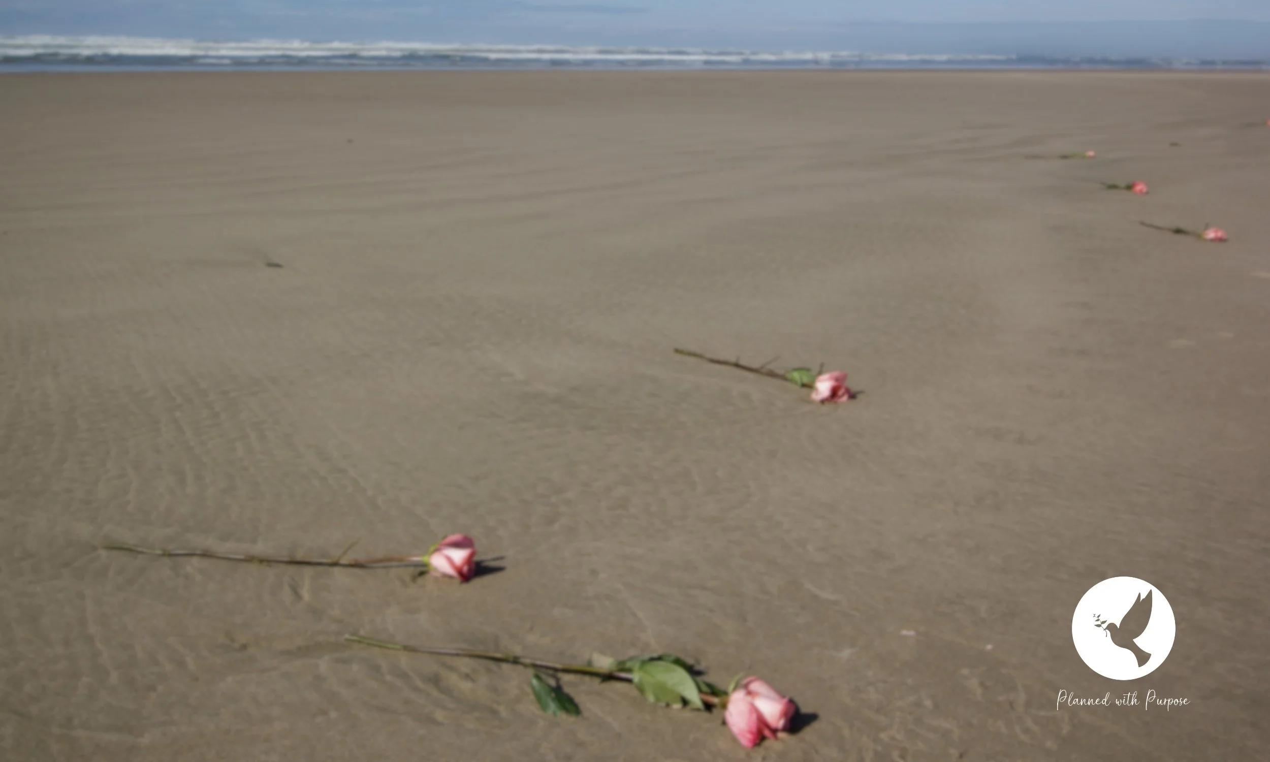 How Do I Start Planning a Memorial Service? Find Your Starting Point