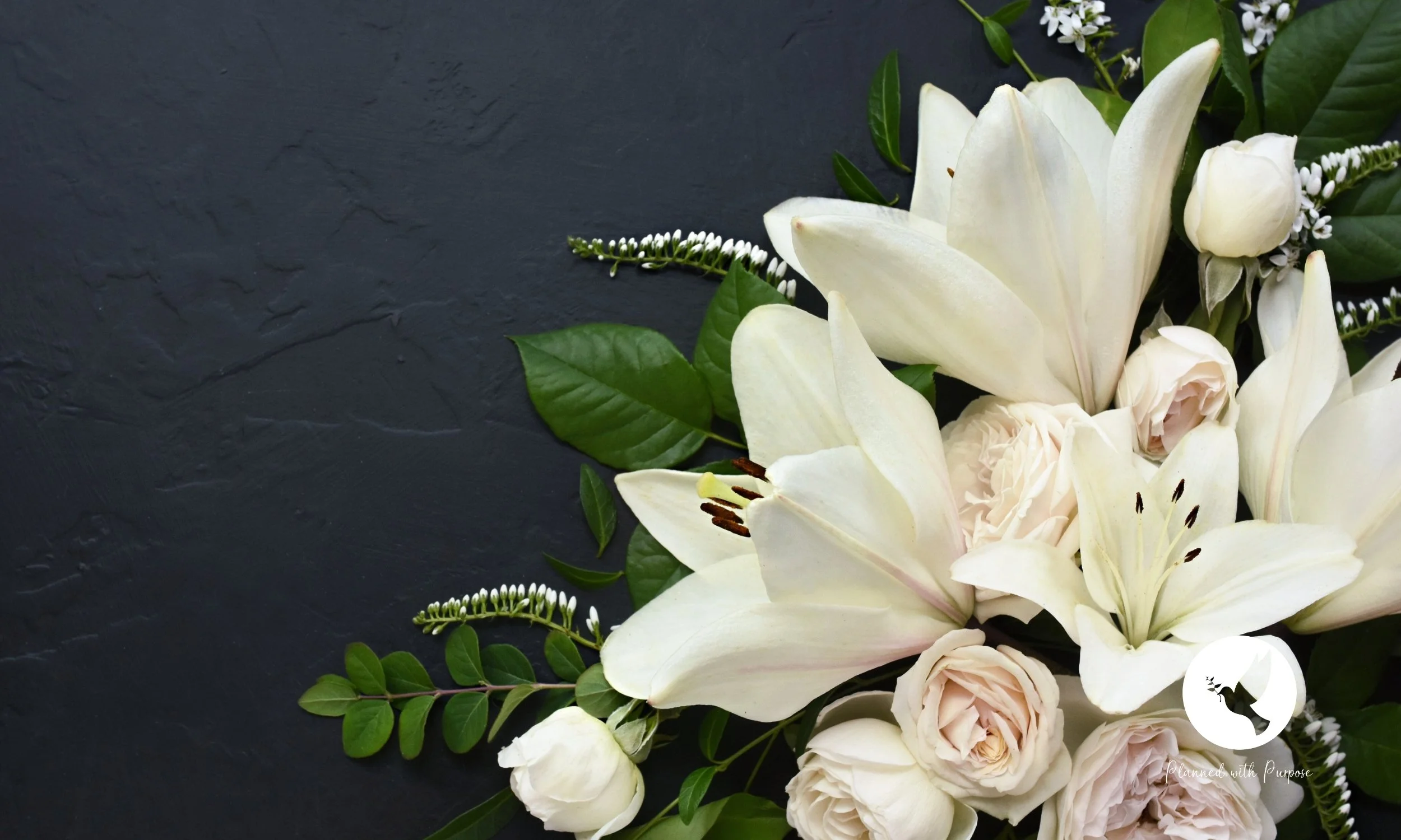 Types of Funerals: A Complete Guide to Your Options Before You Ever Need Them