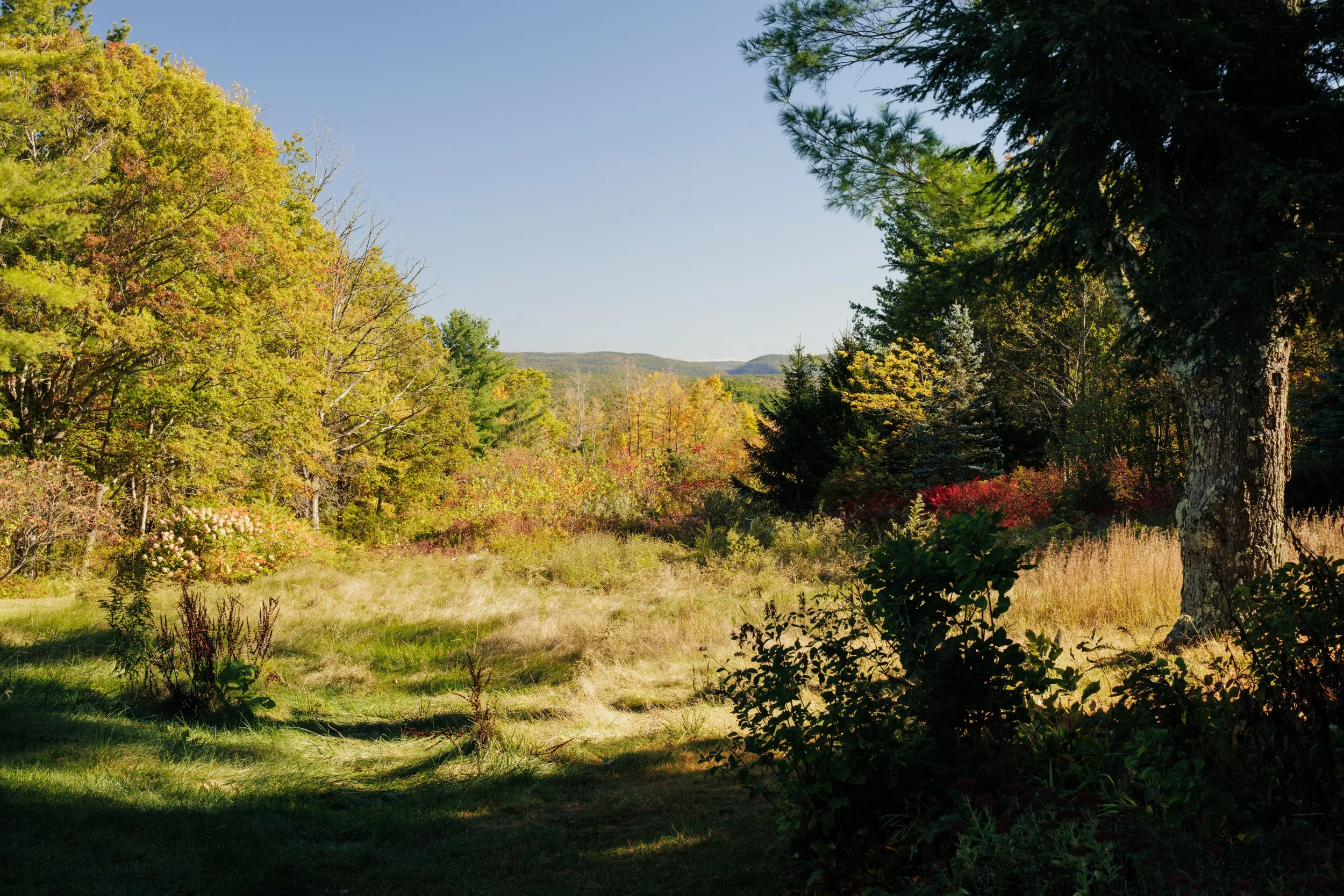 411-Texas-Hill-Rd-Hillsdale-NY-Catskill-Image-41.jpg