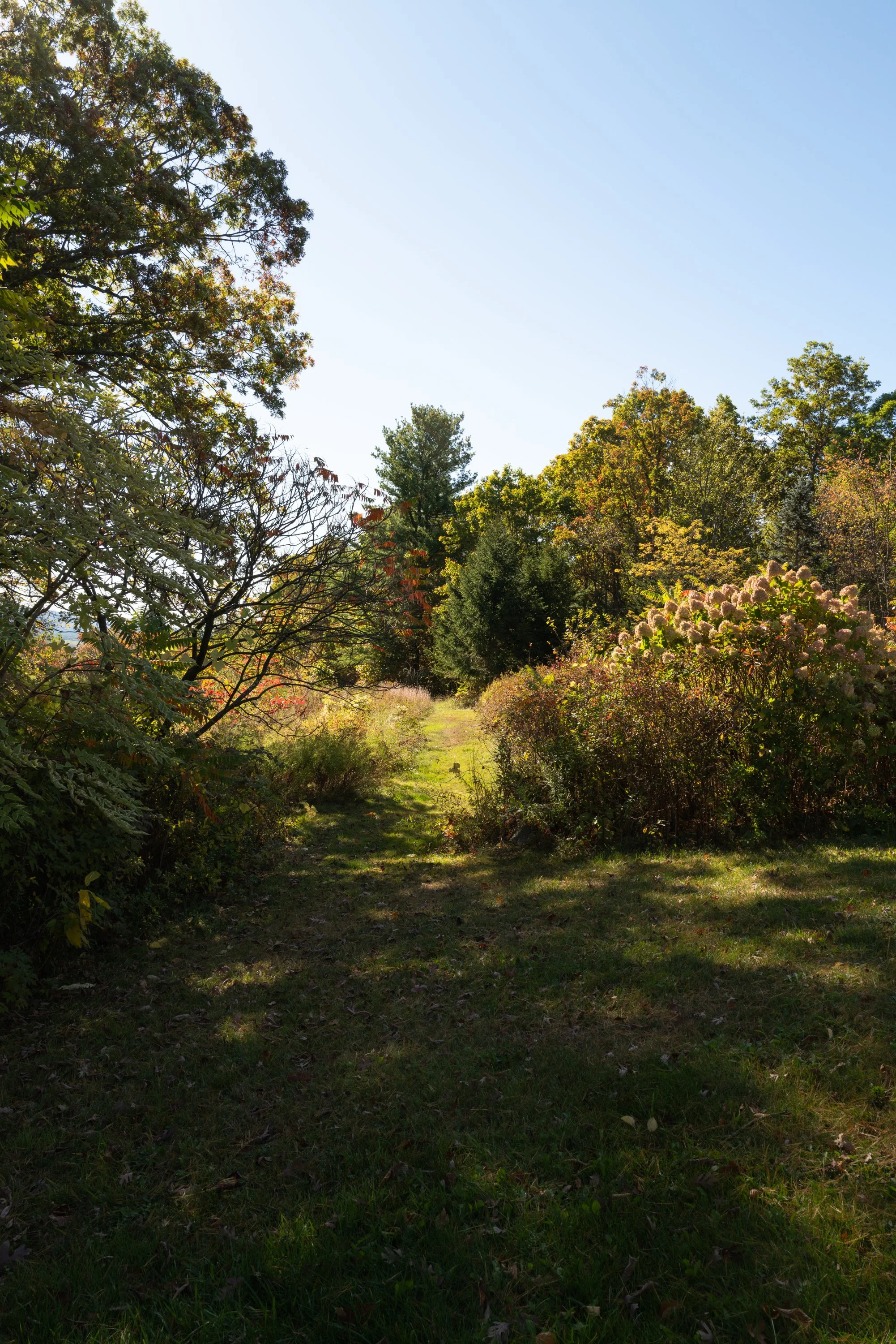 411-Texas-Hill-Rd-Hillsdale-NY-Catskill-Image-62.jpg