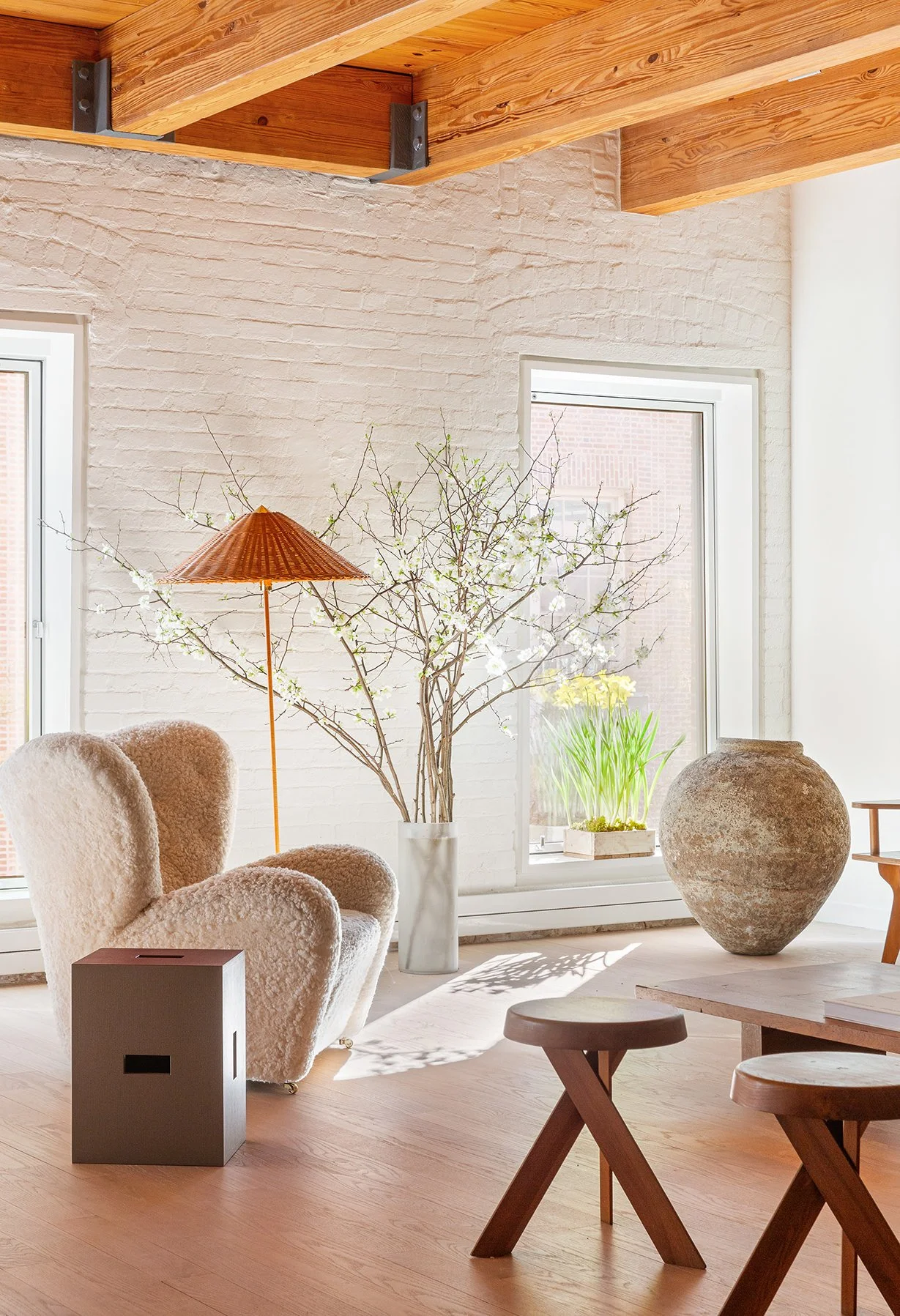 Copy of SD__9433-Web.jpg