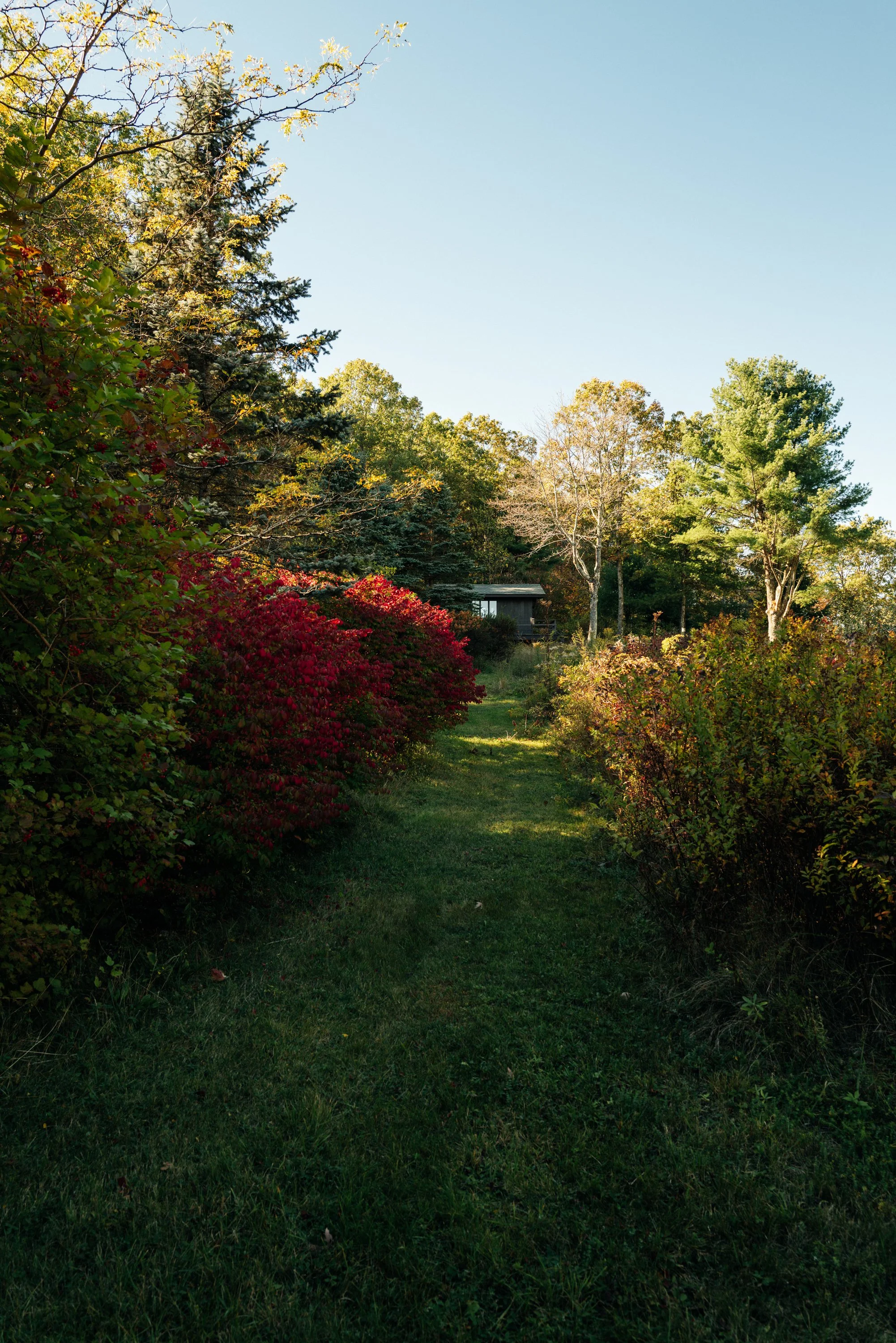 411-Texas-Hill-Rd-Hillsdale-NY-Catskill-Image-47.jpg