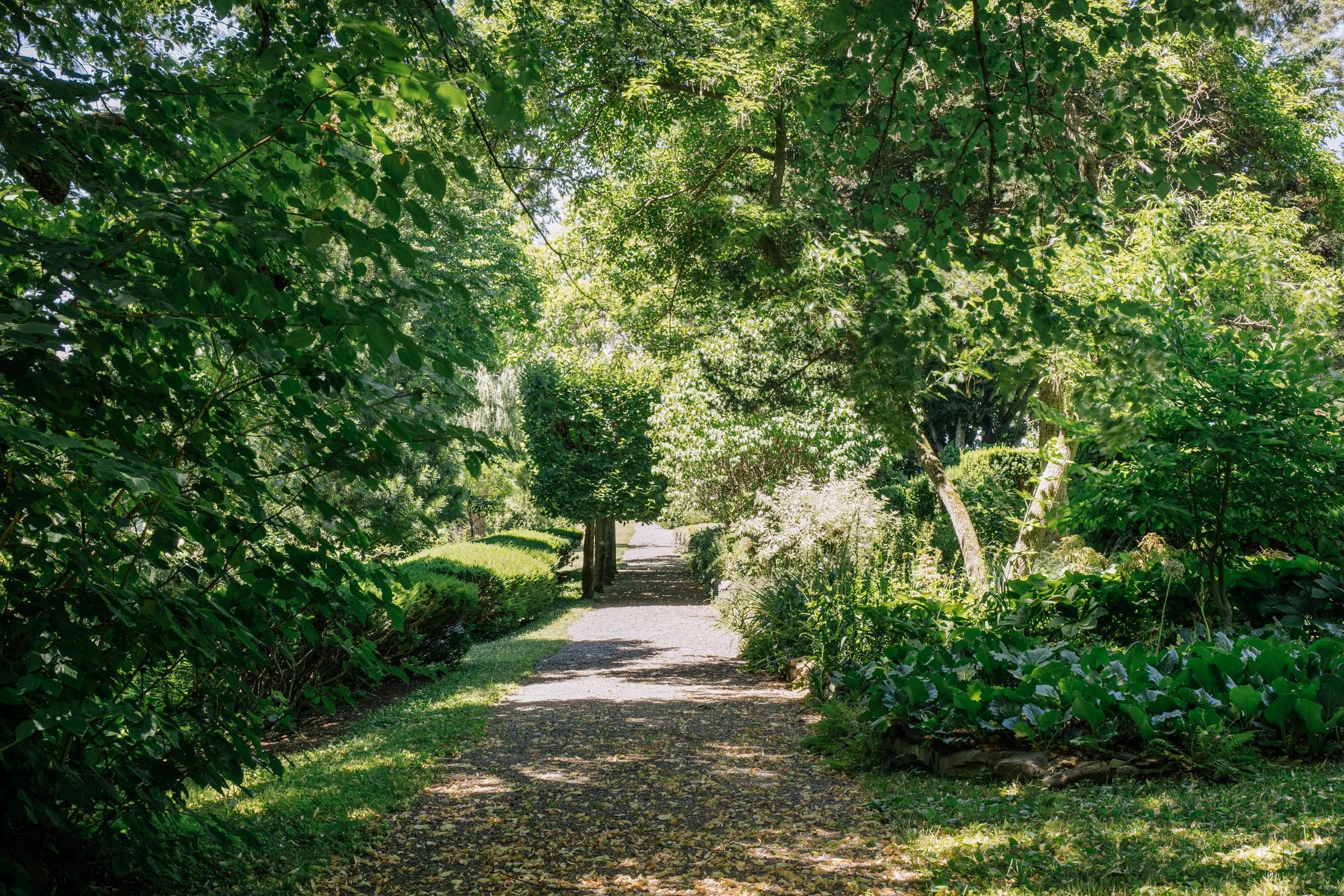 Copy of 28-154-Yates-Rd-Hudson-NY-Selects-Catskill-Image-34.jpg