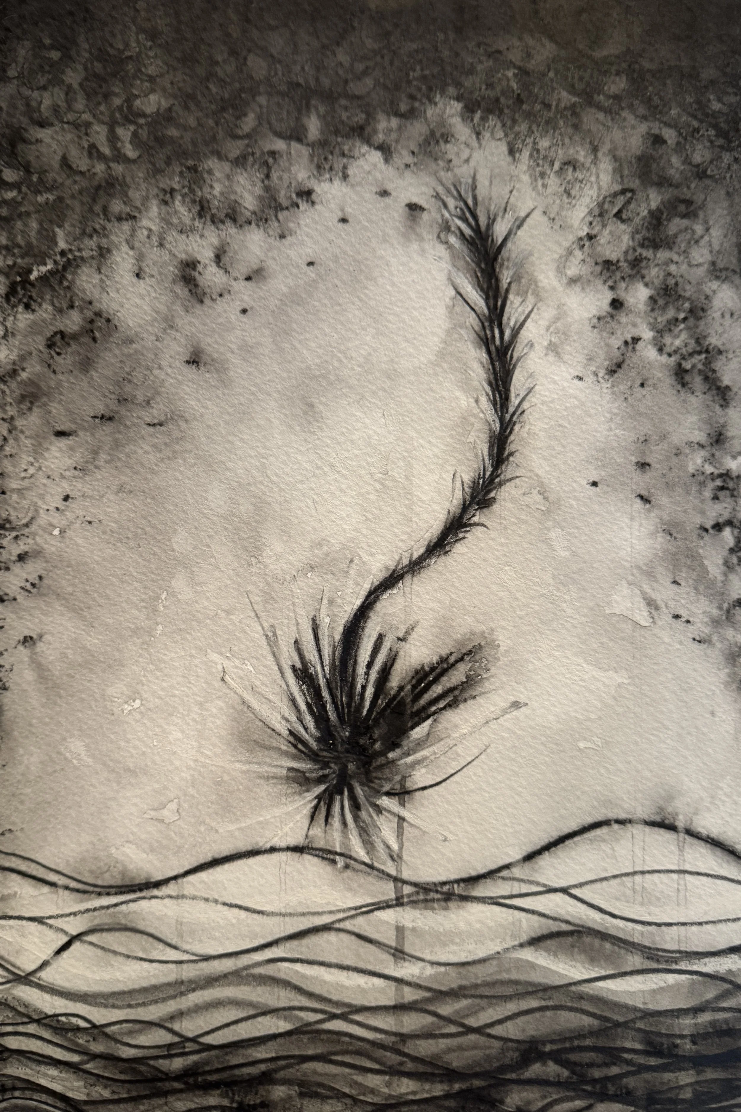  
Anger (graphite) 
A shadow is in me 
wriggling and barbed  
I keep it inside  
so it only harms me 
It scrapes around in my softness 
It copy/pastes itself  
Hanging out, self repeating  
In the darkest corner 
Smoking a cigarette 
that pollutes me