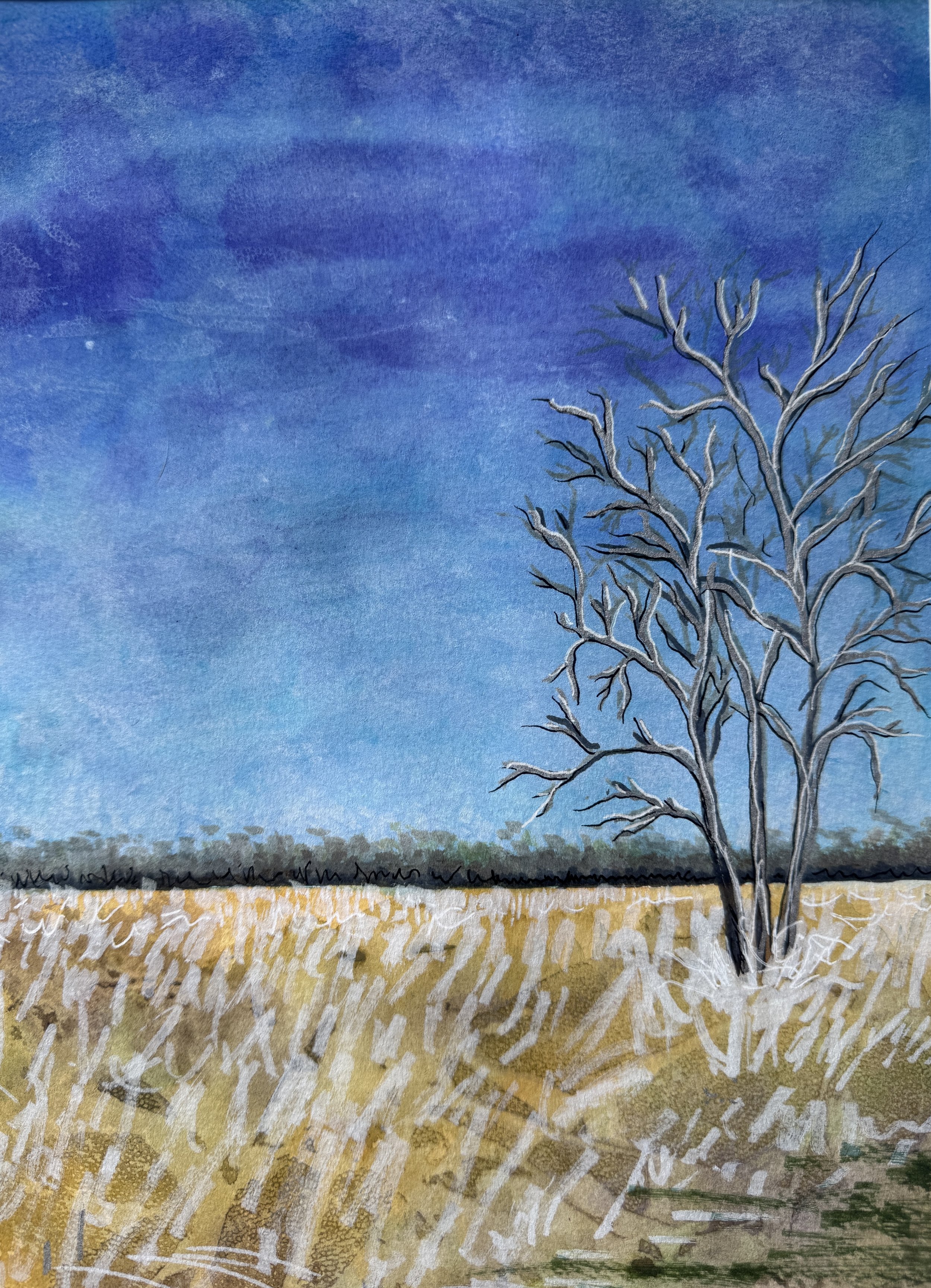  
Winter Woes 
I can see it from afar 
the dryness of winter 
in the crusty edge of the earth 
the crusty edge of me 
picked apart and peeling off. 
Dusty, frozen clumps of iced up dirt, 
that trip me as I go to check on the chickens. 
 
We are all c