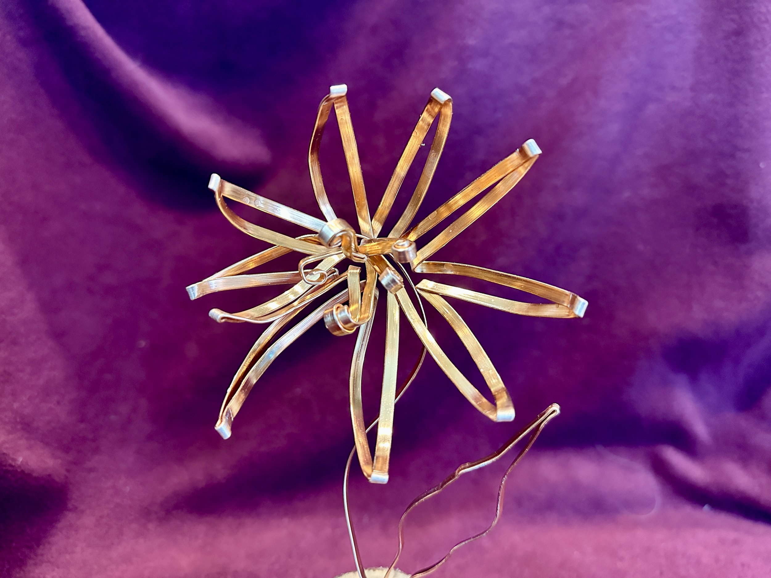 Gorgeous.  Continuous contour wire sculpture