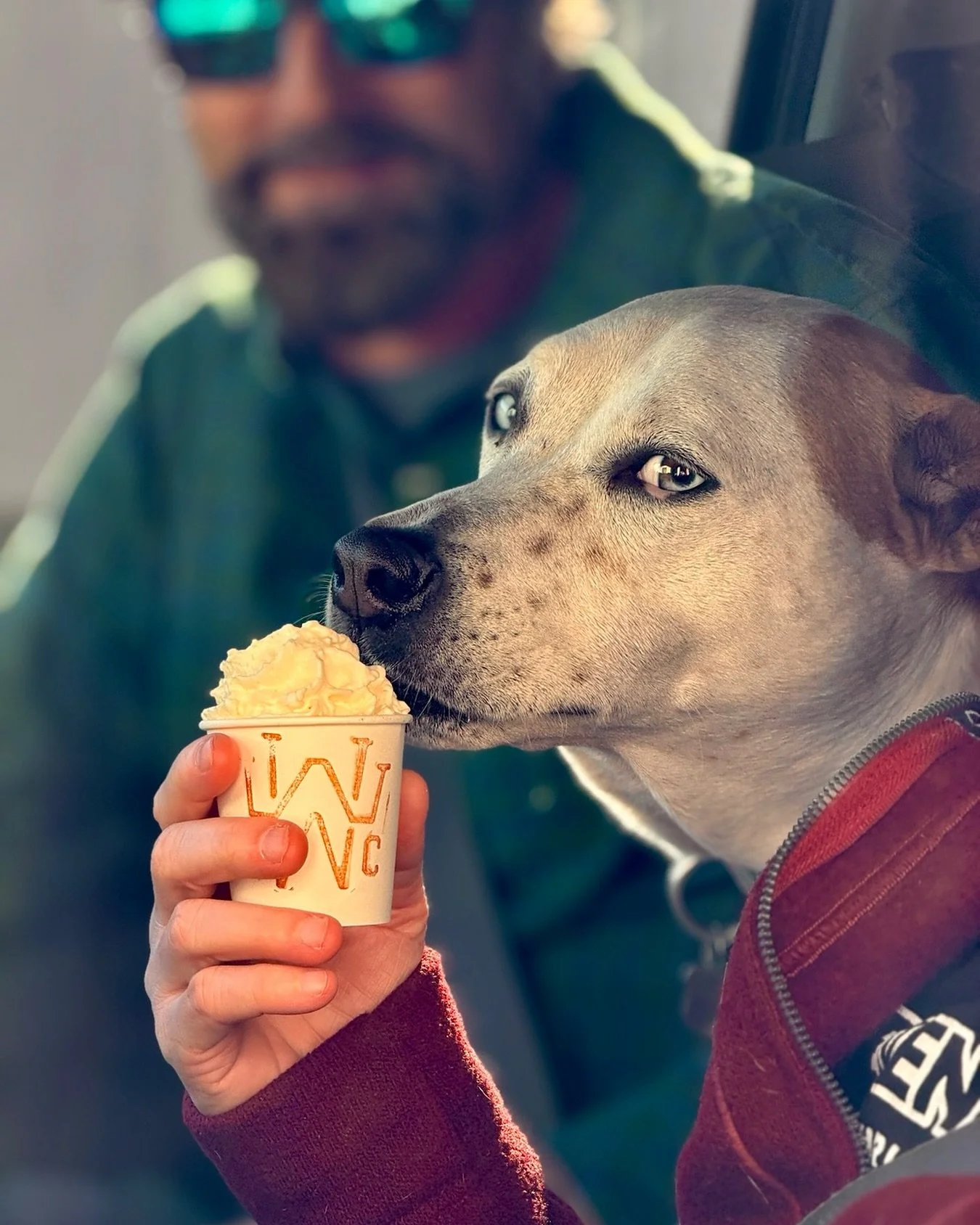 We&rsquo;ve got a little something for the whole family - even the furry members. Our Pup Cups are house-made with 100% pure maple syrup whipped cream, only $1. 🐾