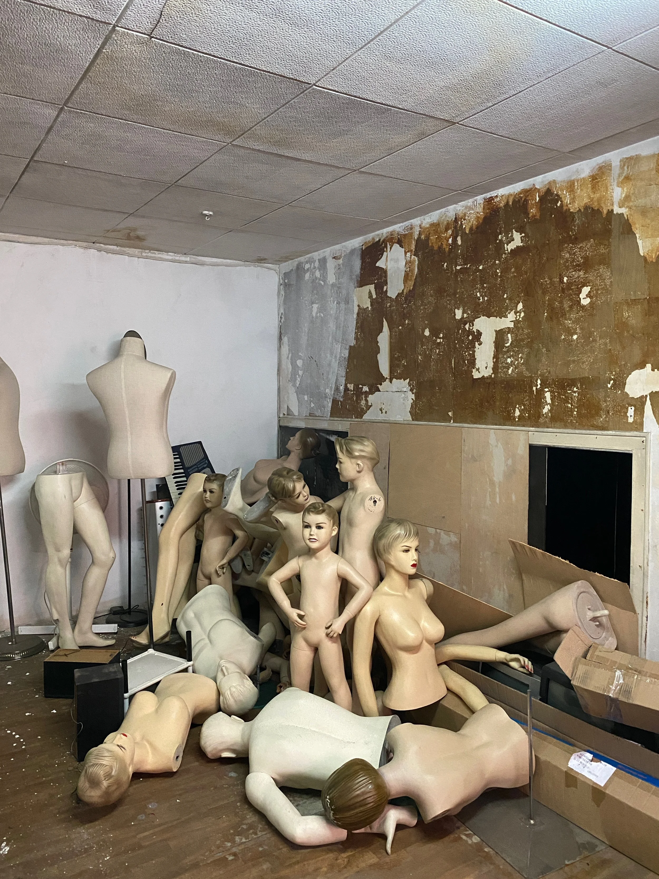 Oasi - fotolibro - 9 of 147.jpeg