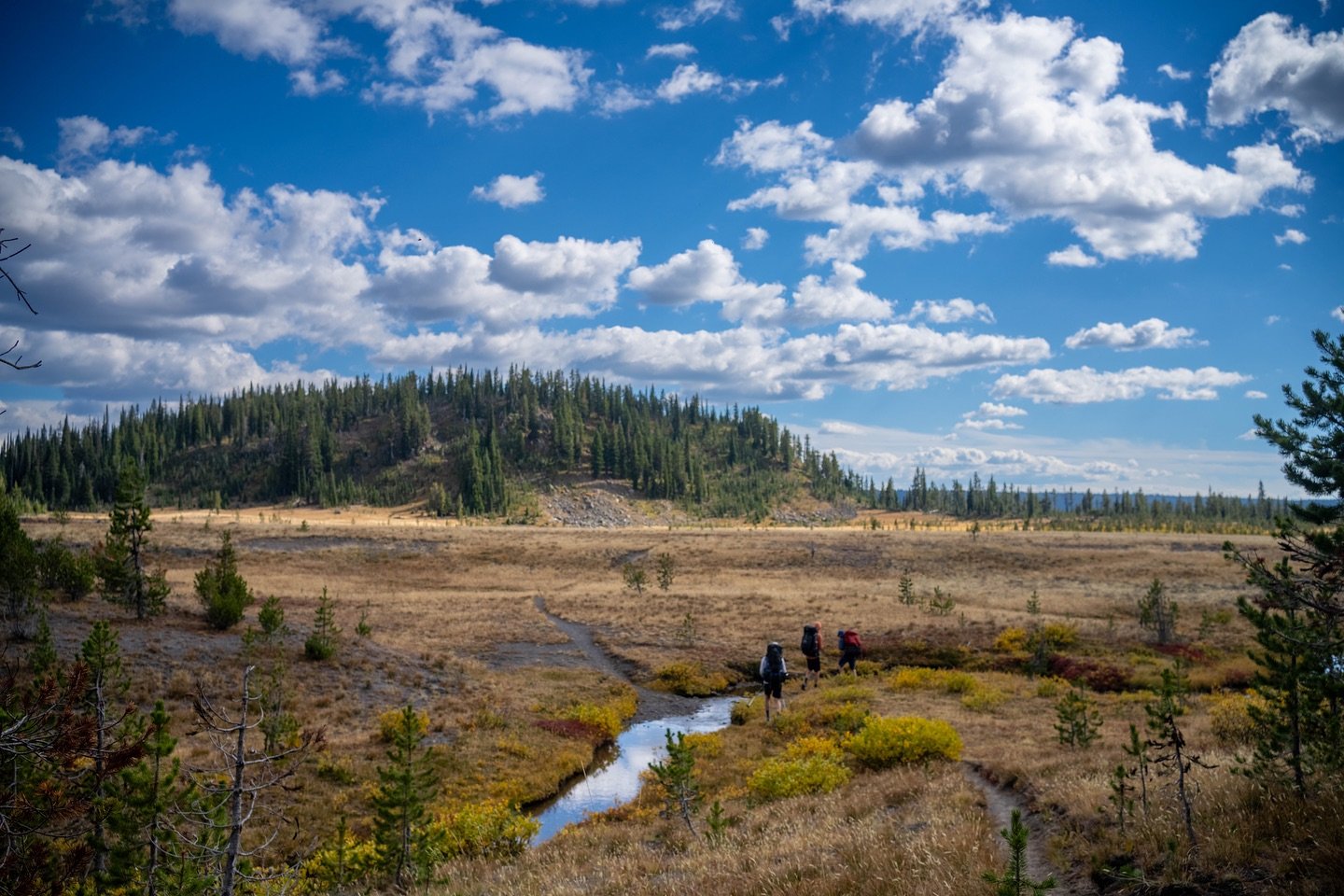 Couple of nights in the Yellowstone backcountry. &bull;
&bull;
&bull;
&bull;
#yellowstonenationalpark #yellowstonebackcountry #backpacking #getoutside