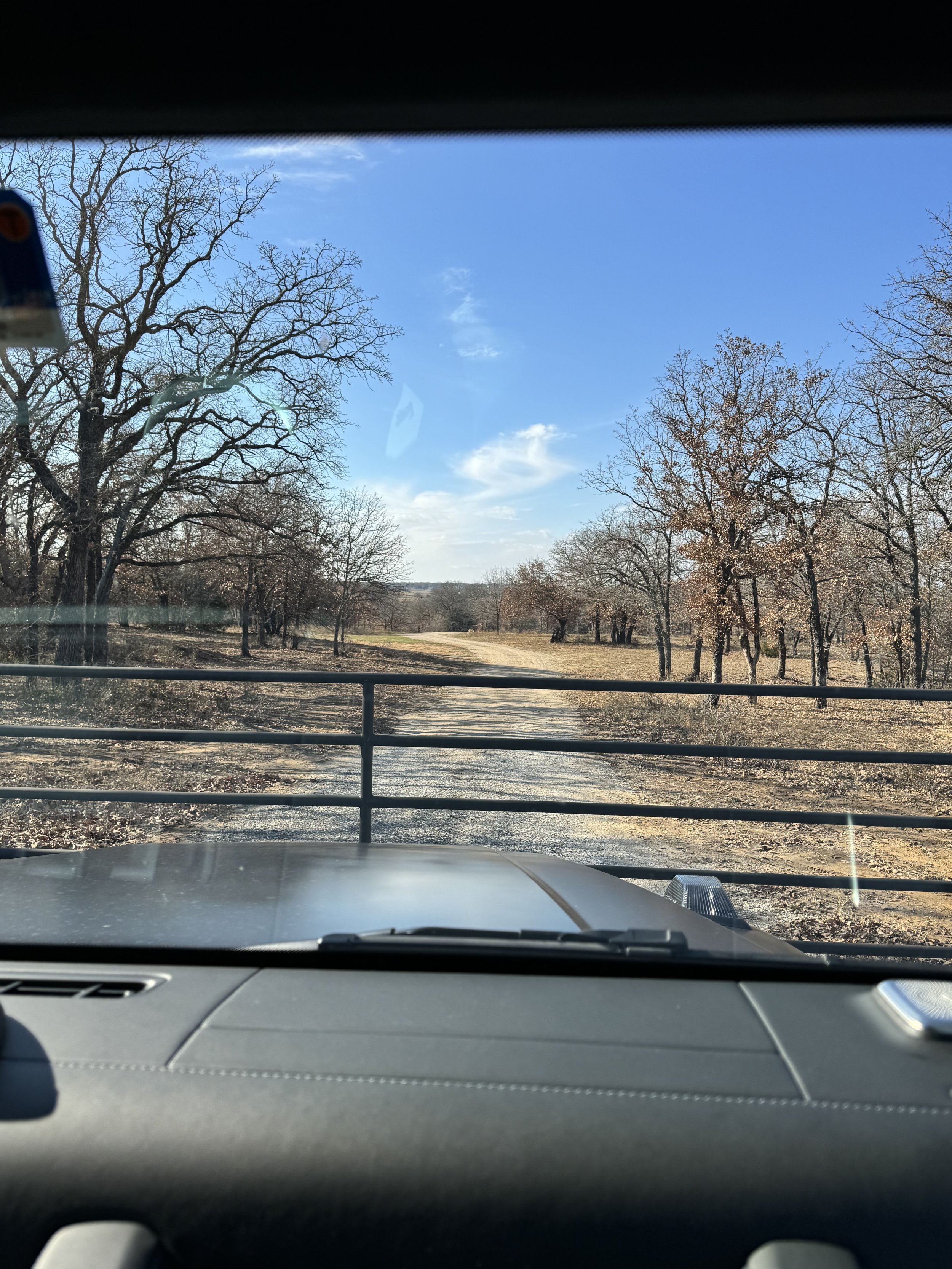 Arriving at The Essex Ranch for the first time, this winter scene captures the road leading through the gate. The bare trees stand as quiet witnesses to the early moments of our journey, taken before we even called this land our own.