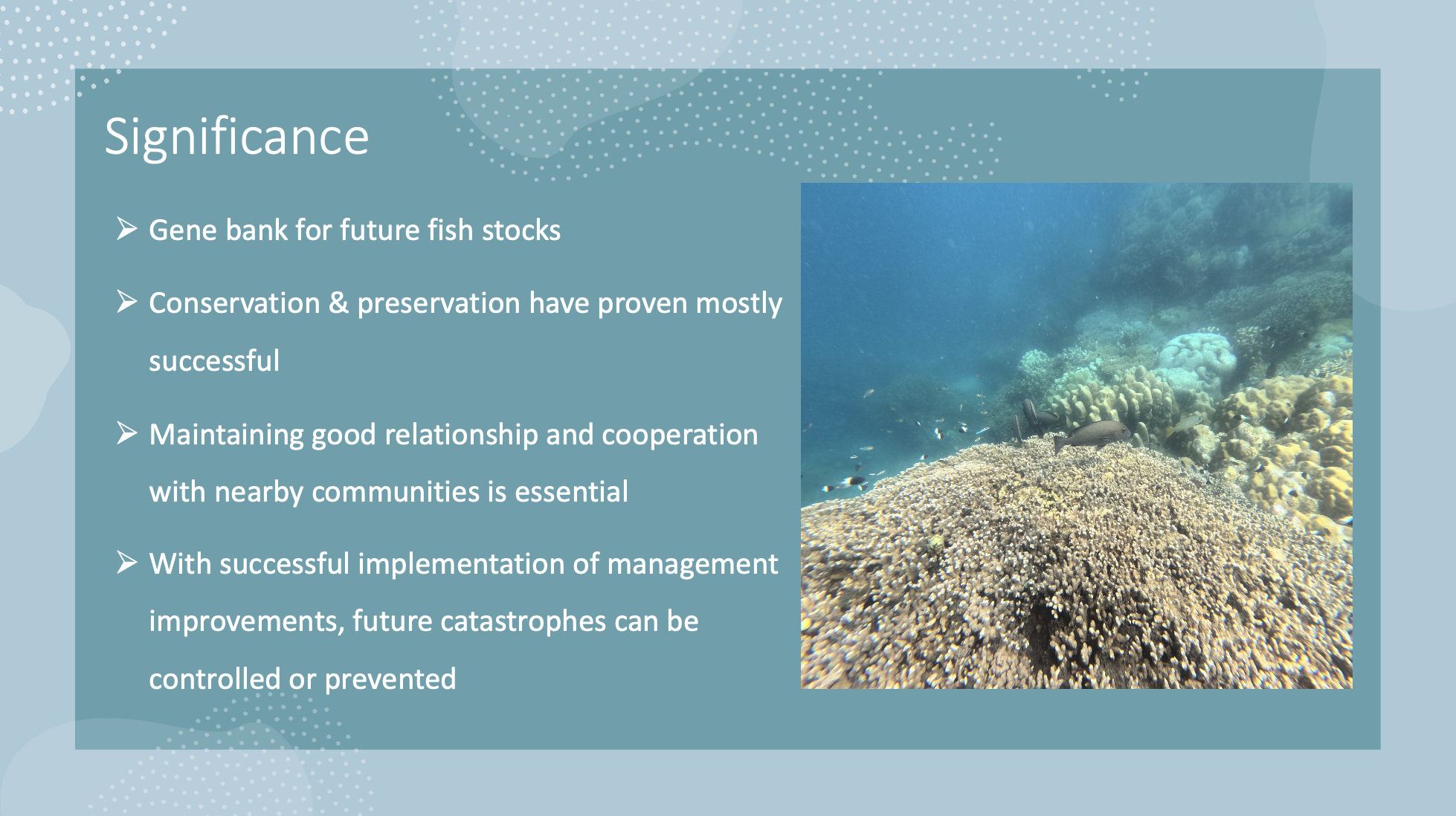 Screenshot 2024-09-14 at 6.23.24 PM.png