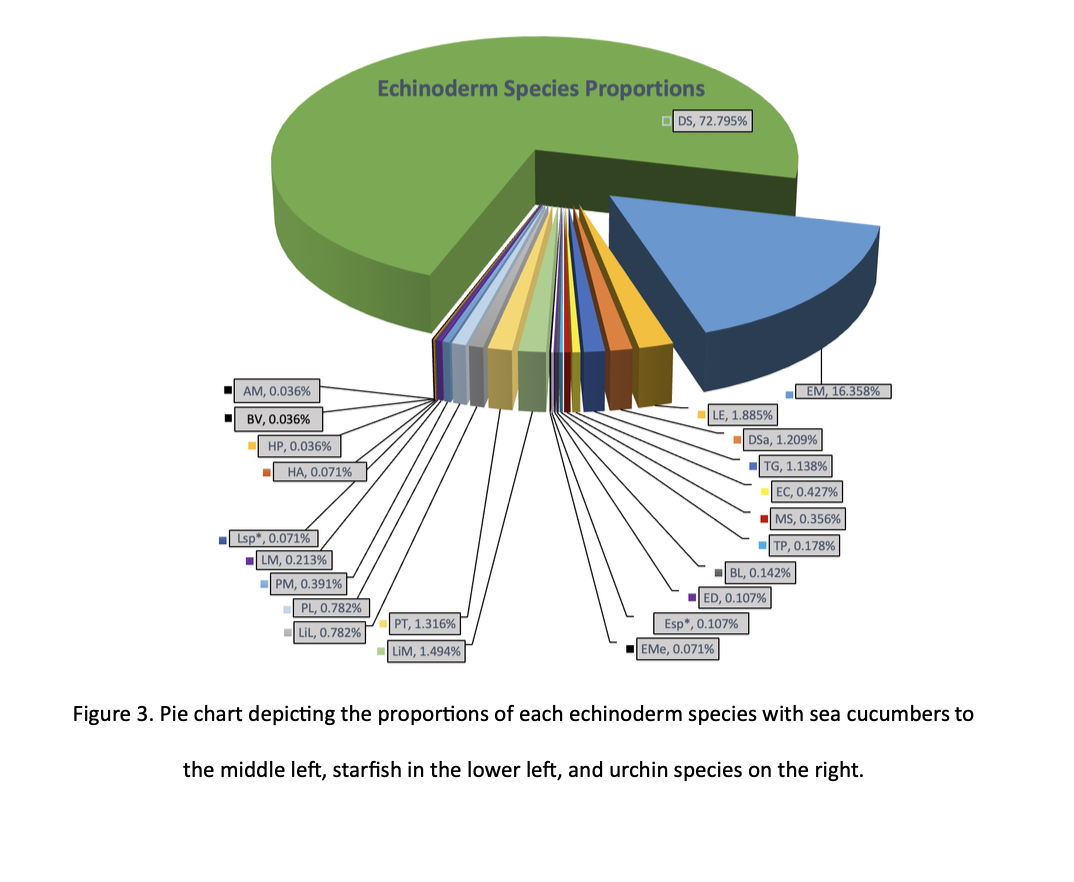 Screenshot 2024-09-14 at 7.03.33 PM.png