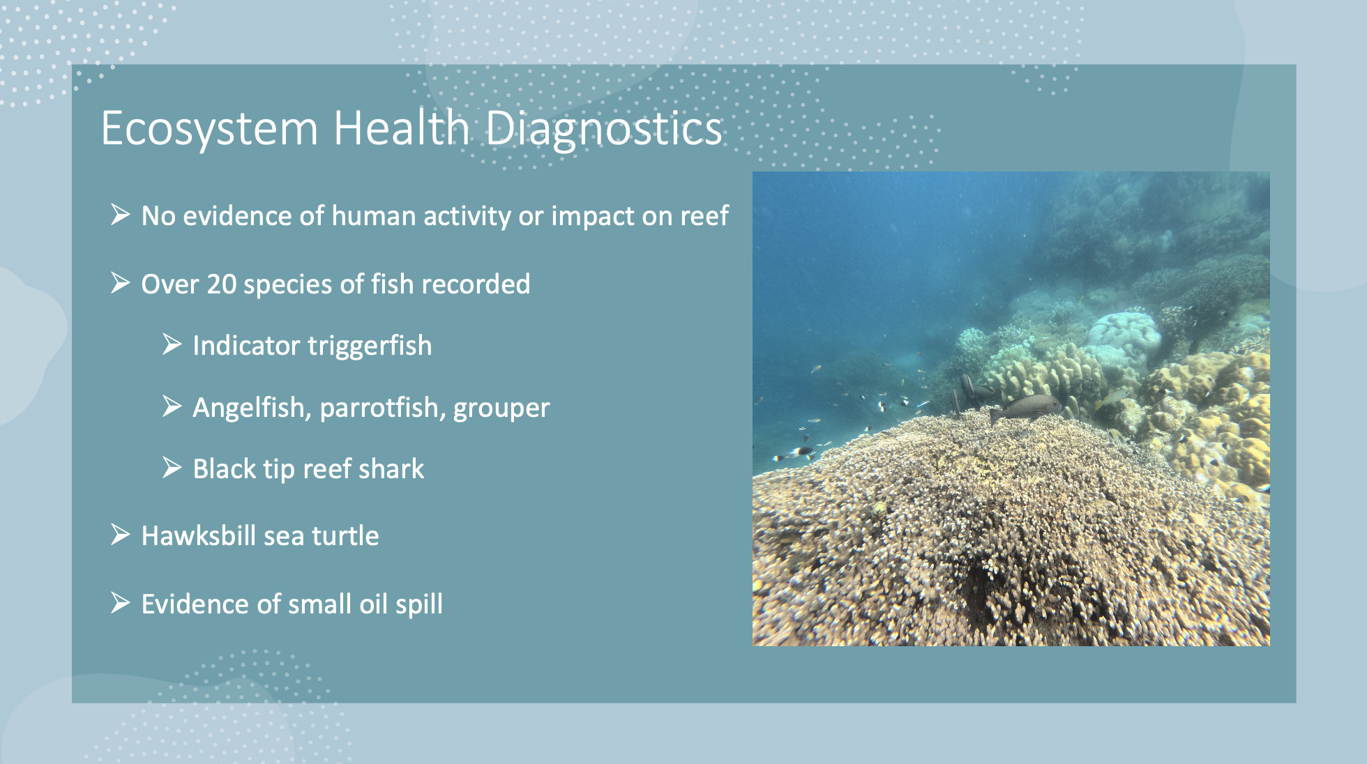 Screenshot 2024-09-14 at 6.20.45 PM.png