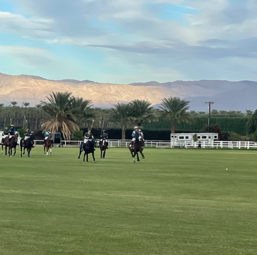 Women’s League Polo