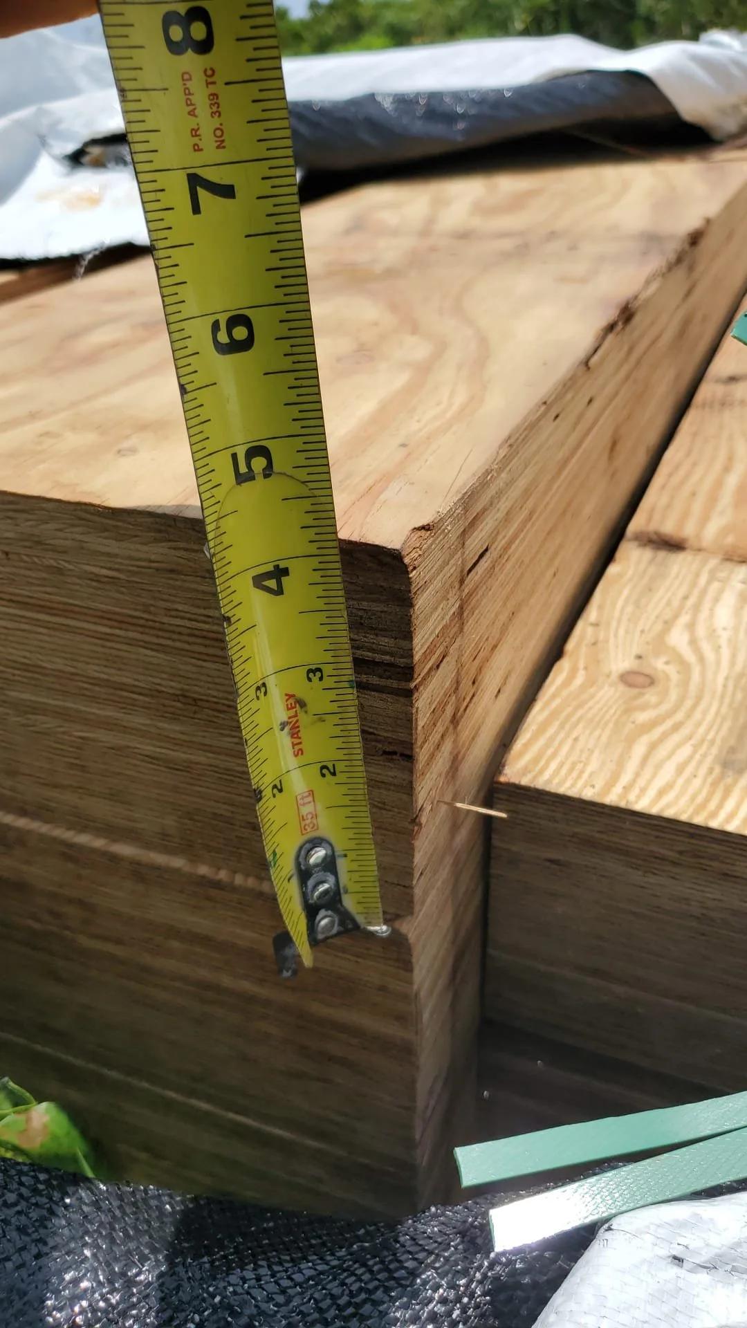 WhatsApp Image 2025-07-14 at 12.09.35.jpeg