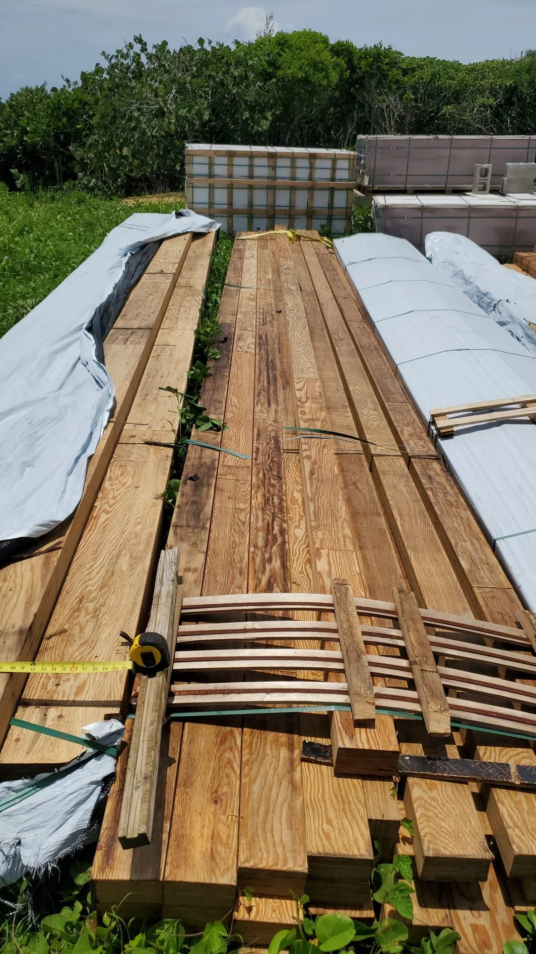 WhatsApp Image 2025-07-14 at 12.09.16.jpeg