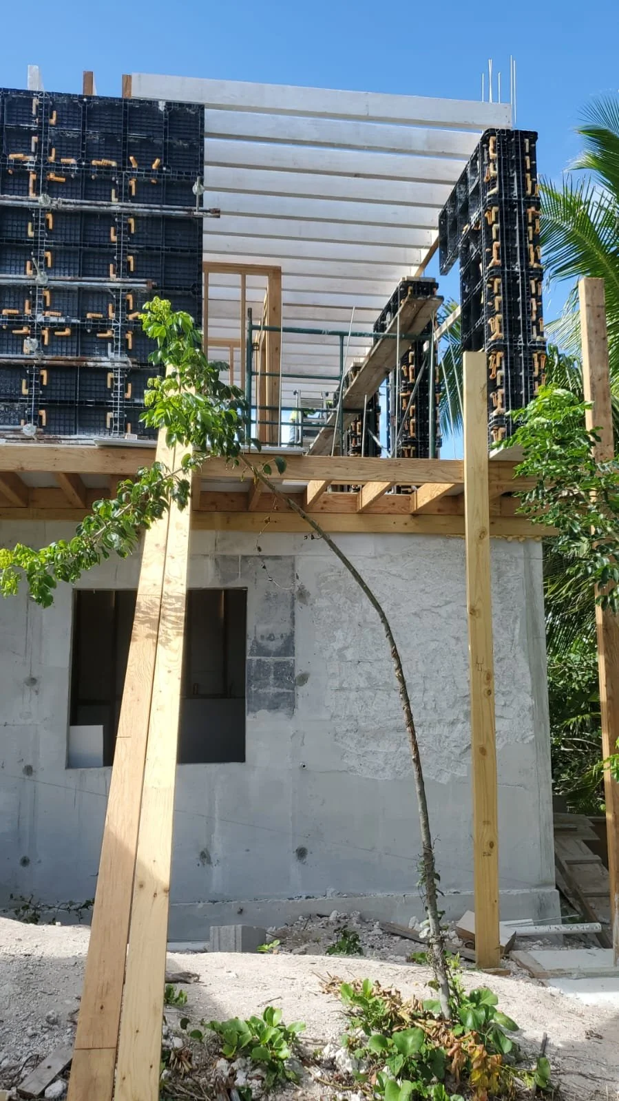 Construction of a modern house with wooden framework and concrete walls, surrounded by tropical plants and trees, under a clear blue sky.