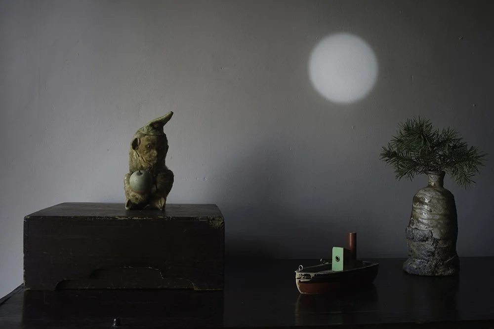 Still Life, 2020 - 2022