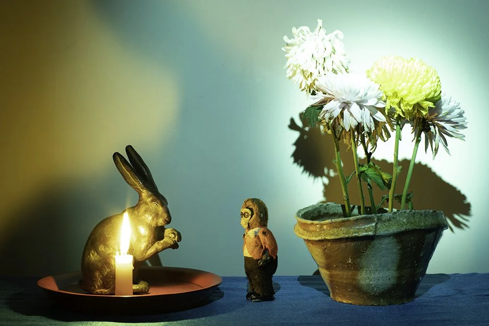 Still Life, 2020 - 2022