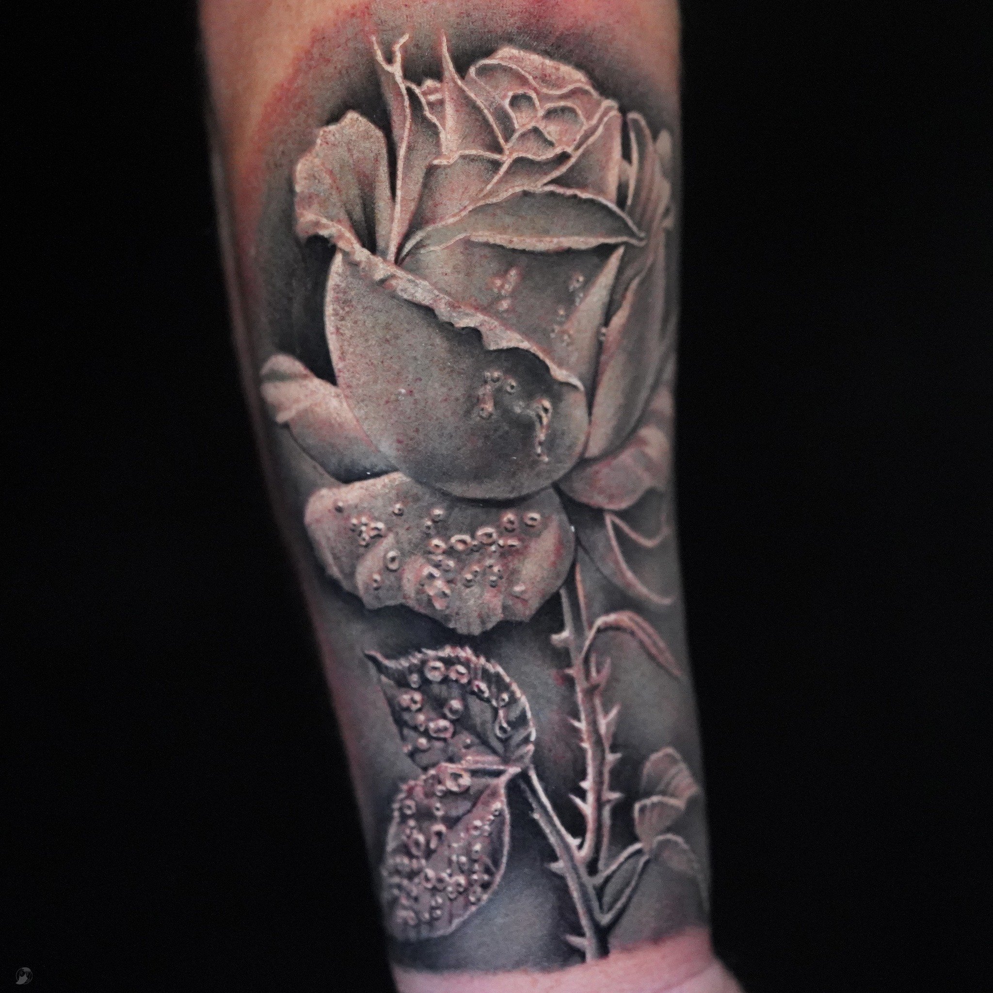 Forearm rose for the homie, Matt. Thanks brother!👊🏻

💥 BOOKS OPEN💥

Done with care at @southernmagnoliatattoo 
&bull;
PLEASE TURN DEVICE BRIGHTNESS UP!
&bull;
INQUIRIES please email appointmentwithstani@gmail.com
&bull;
&bull;
&bull;
#atltattoo #