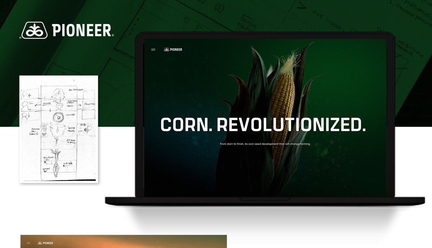 Corteva Agriscience 5.jpg