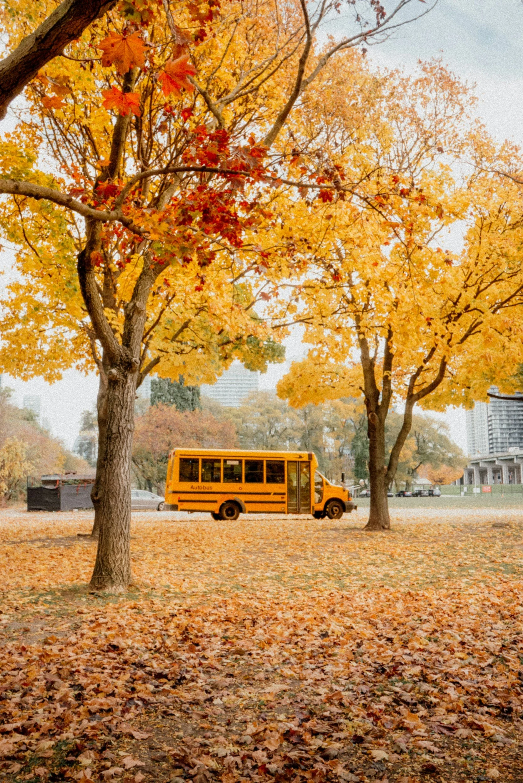 School Field Trips