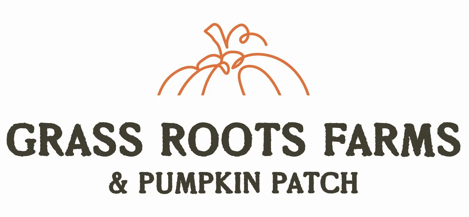Grass Roots Pumpkin Patch