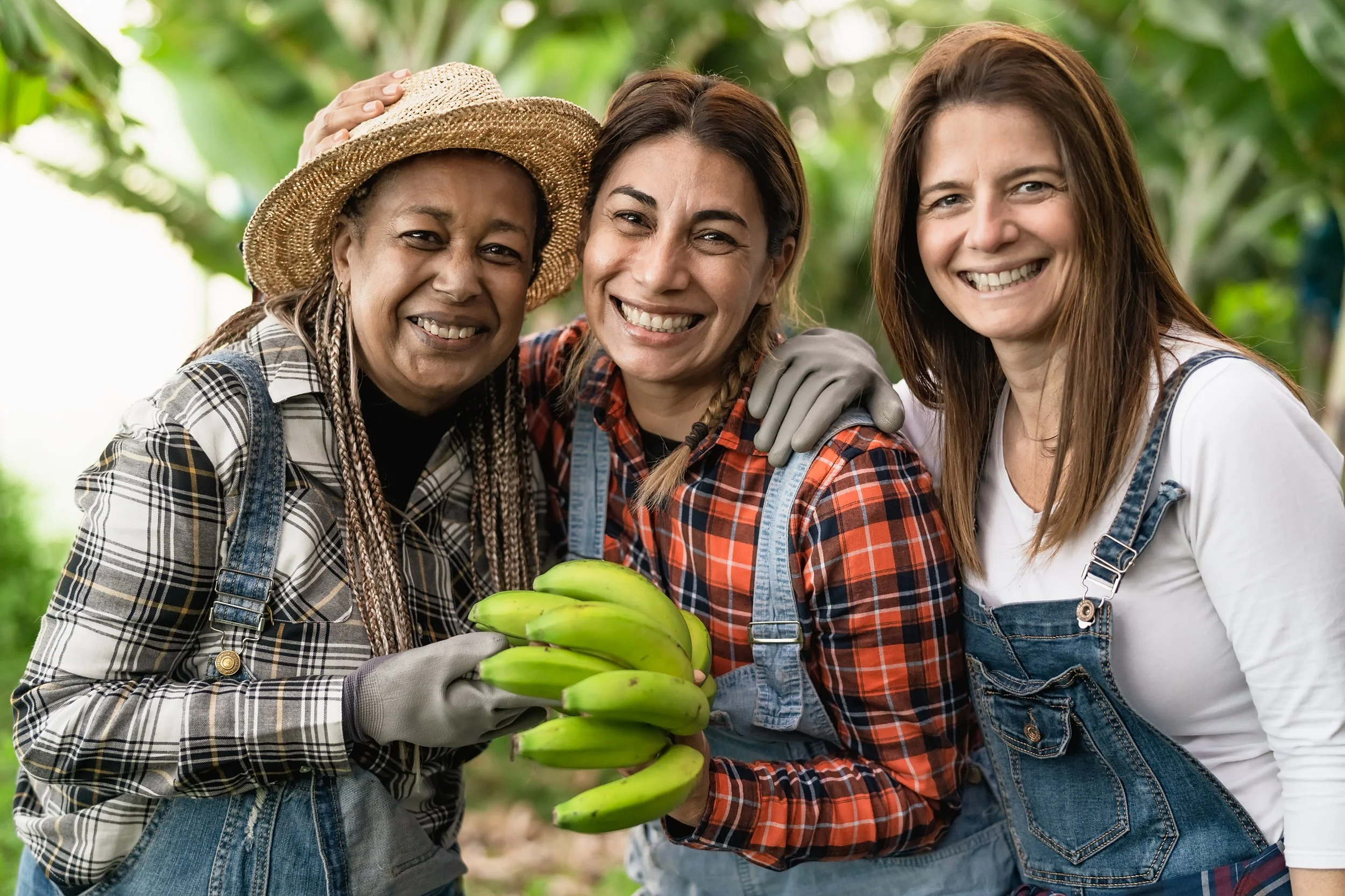 happy-farmers-having-fun-working-in-bananas-planta-2023-11-27-04-53-55-utc.jpg