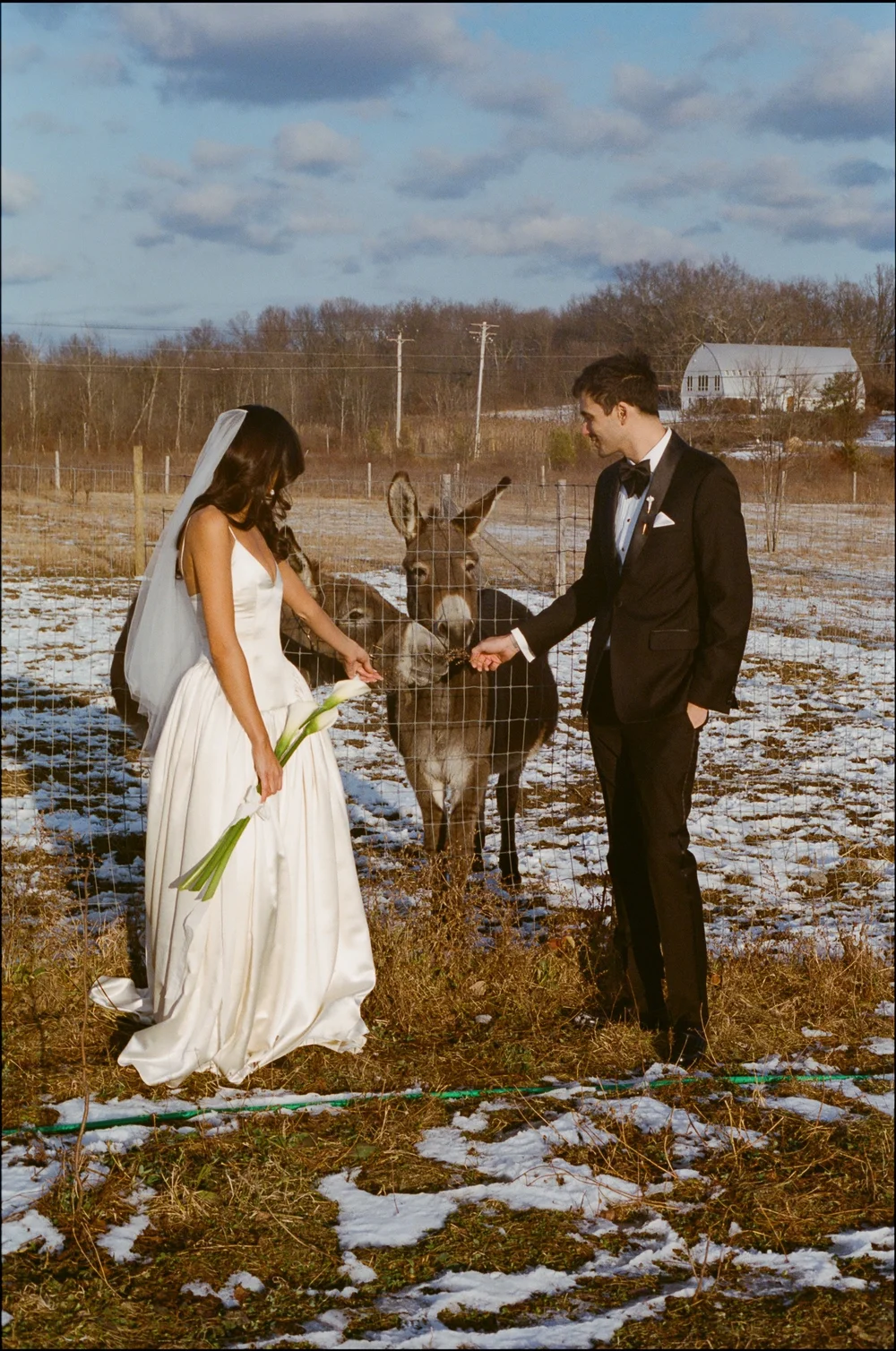 1019D832-2EC9-4443-A973-5S&D preferred4D3F2728E13.JPG