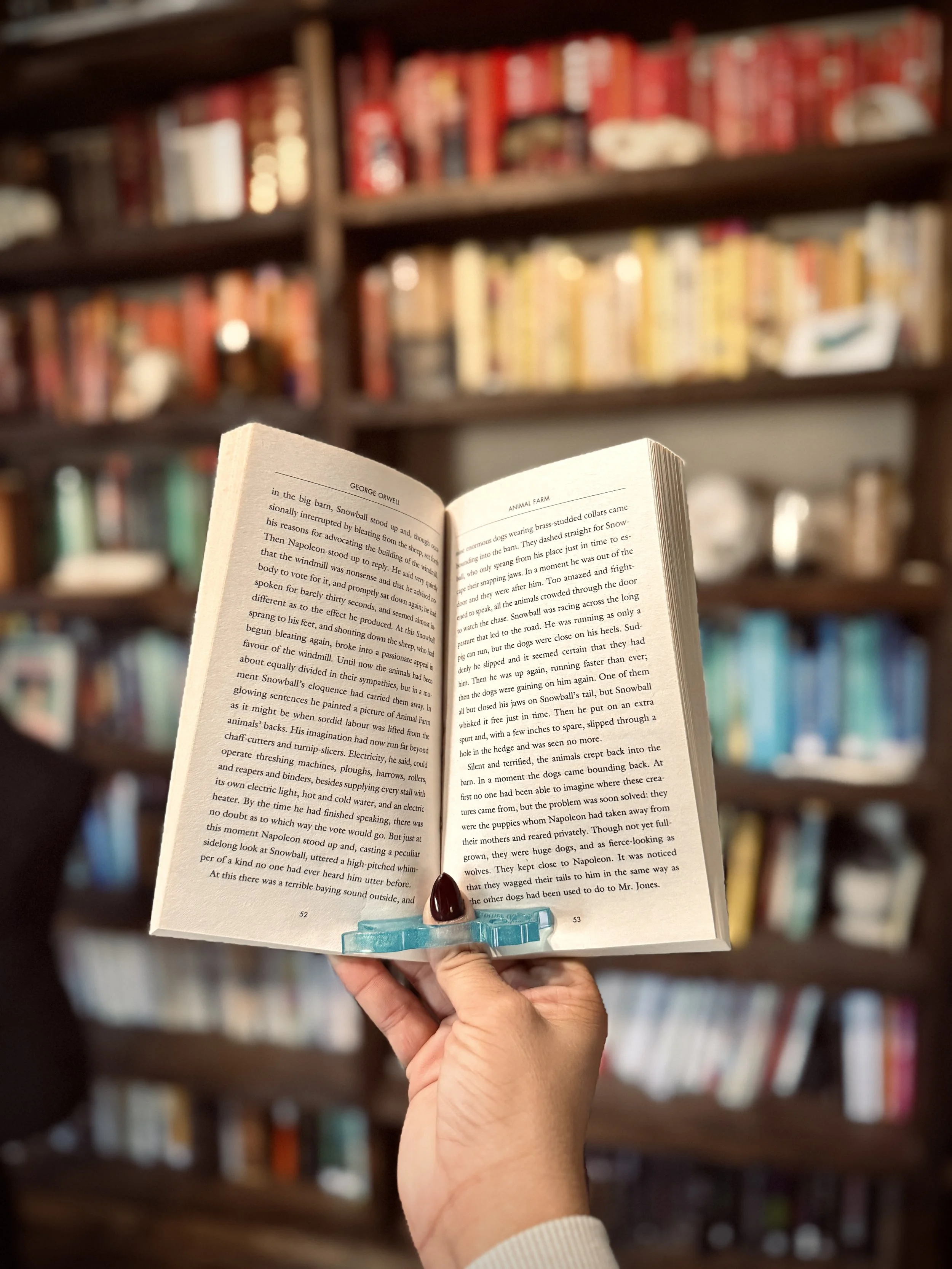 Book Buddy aka Page Holder